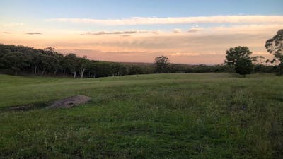 Rural Views