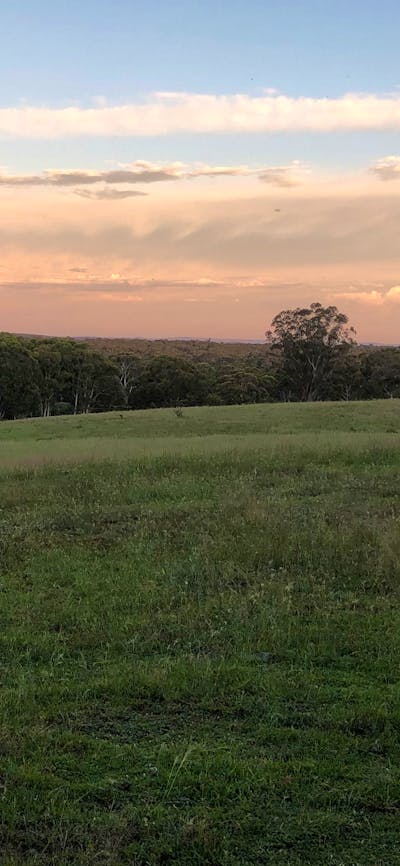 Rural Views