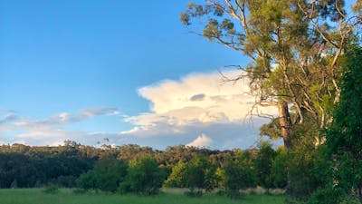 Rural Views