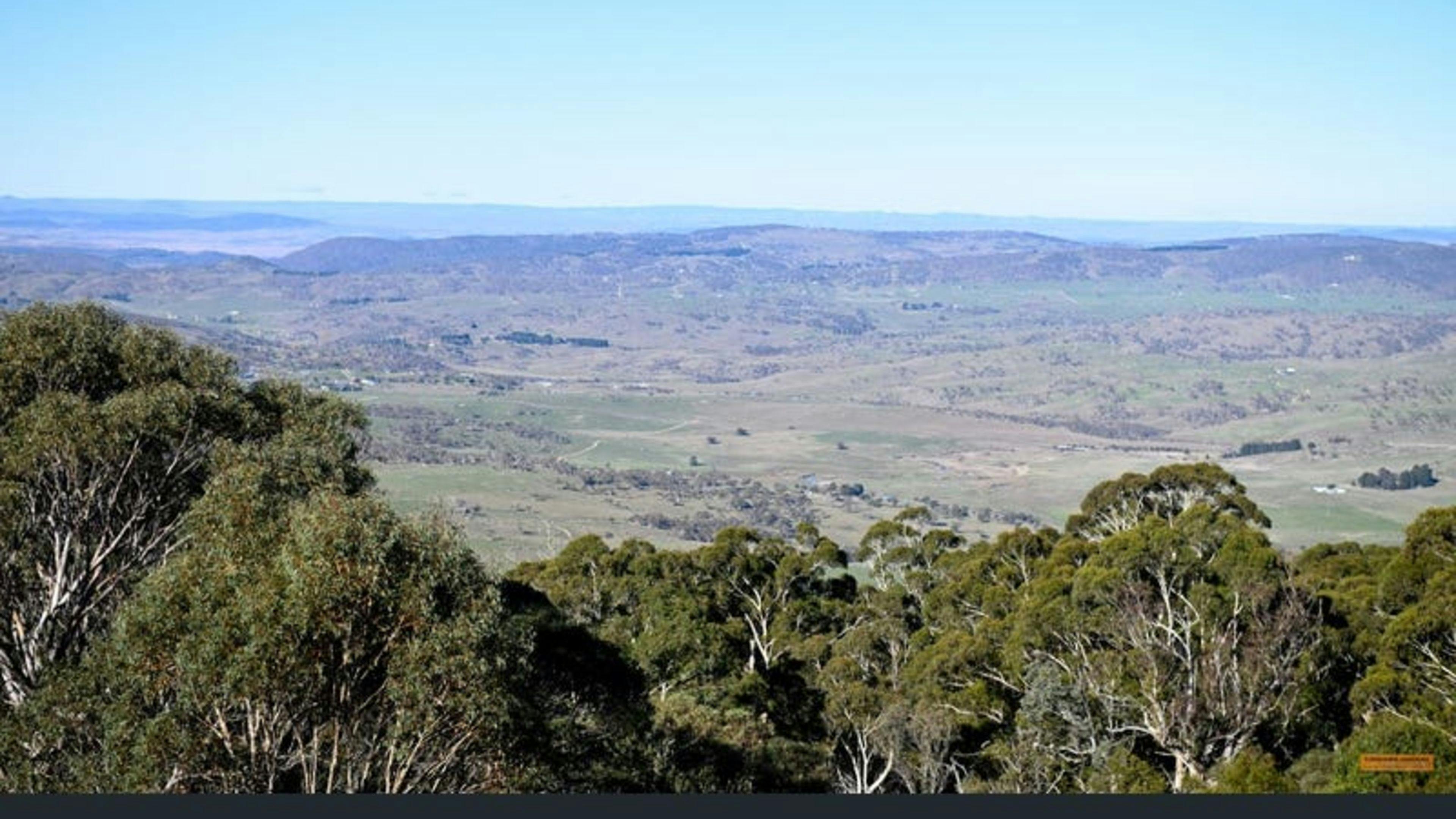 アルパインブッシュランドキャンプ