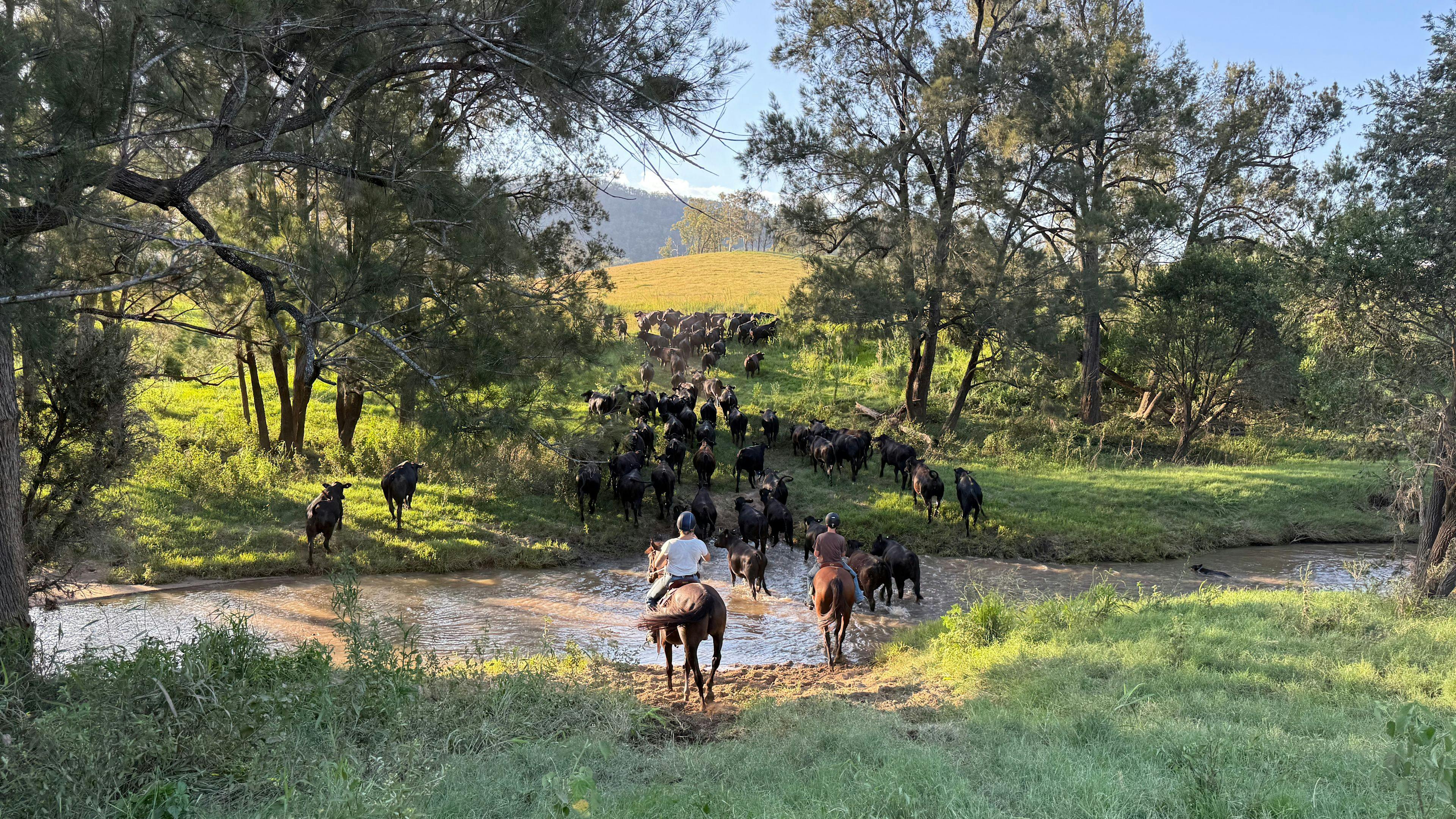 Juburra Country Camping