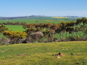 Belalie Wines Farmstay