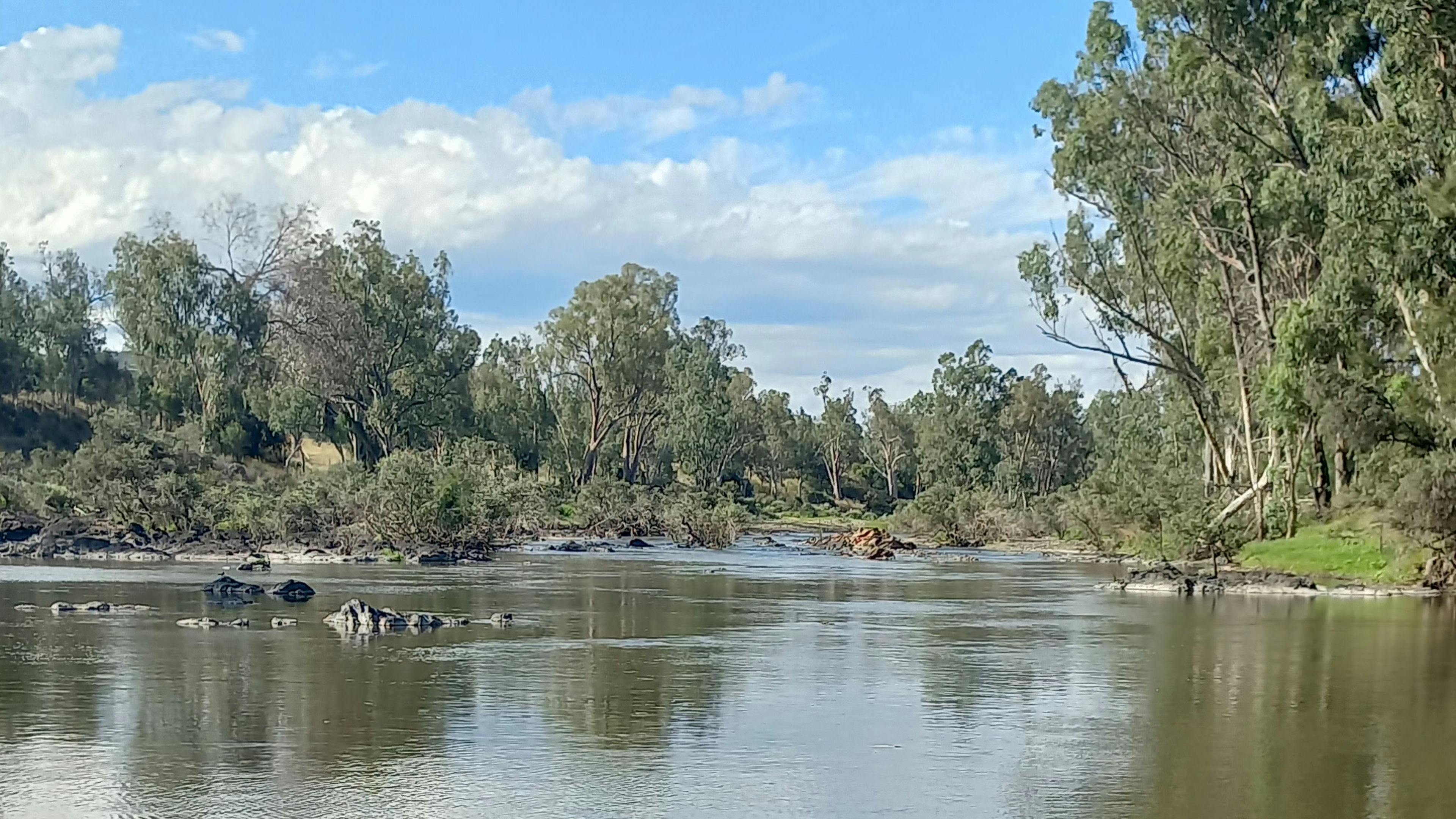 'Saliet'(Newfarm)Dumaresq Valley
