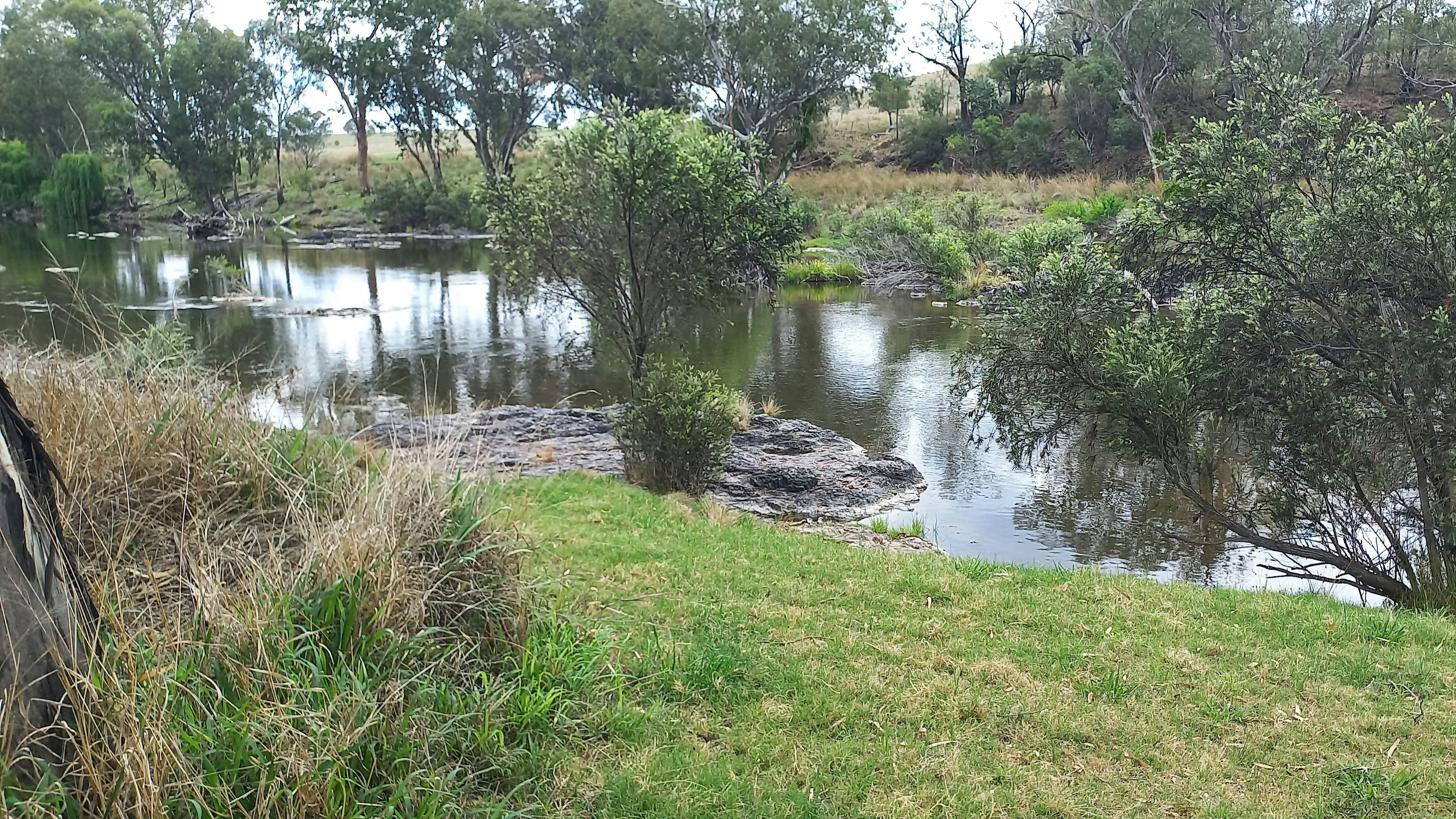 '샐리엣'(뉴팜)두마레스크 밸리