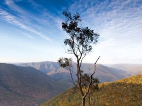 Salisbury Waters walking track