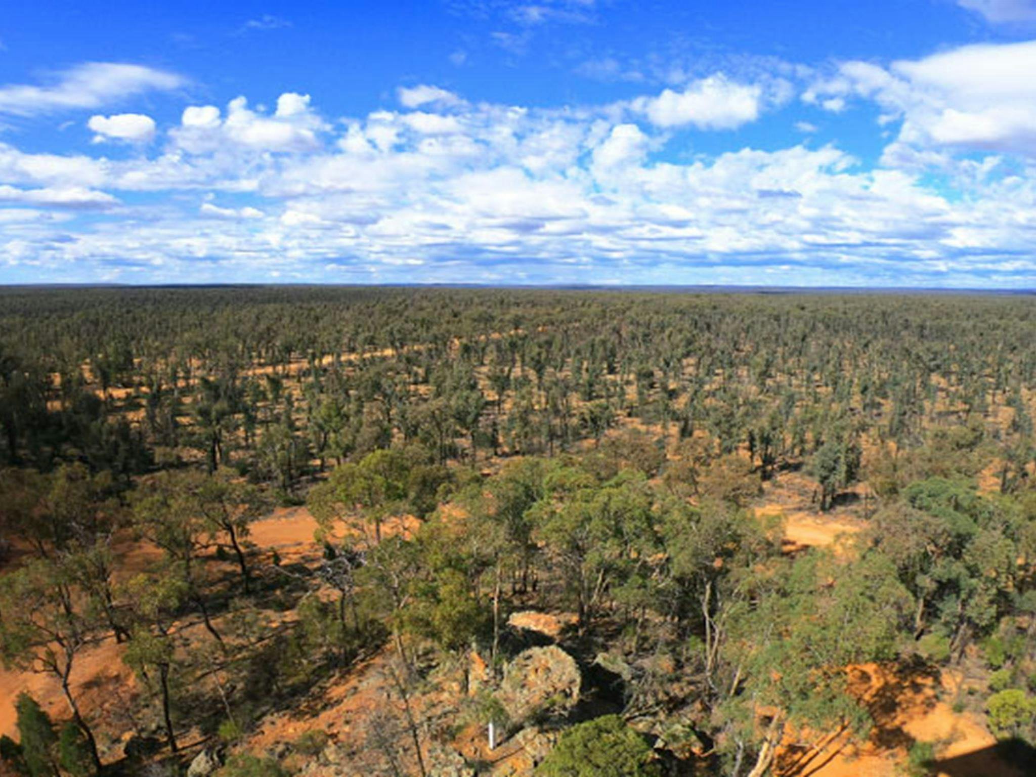 ソルトケイブスキャンプ場
