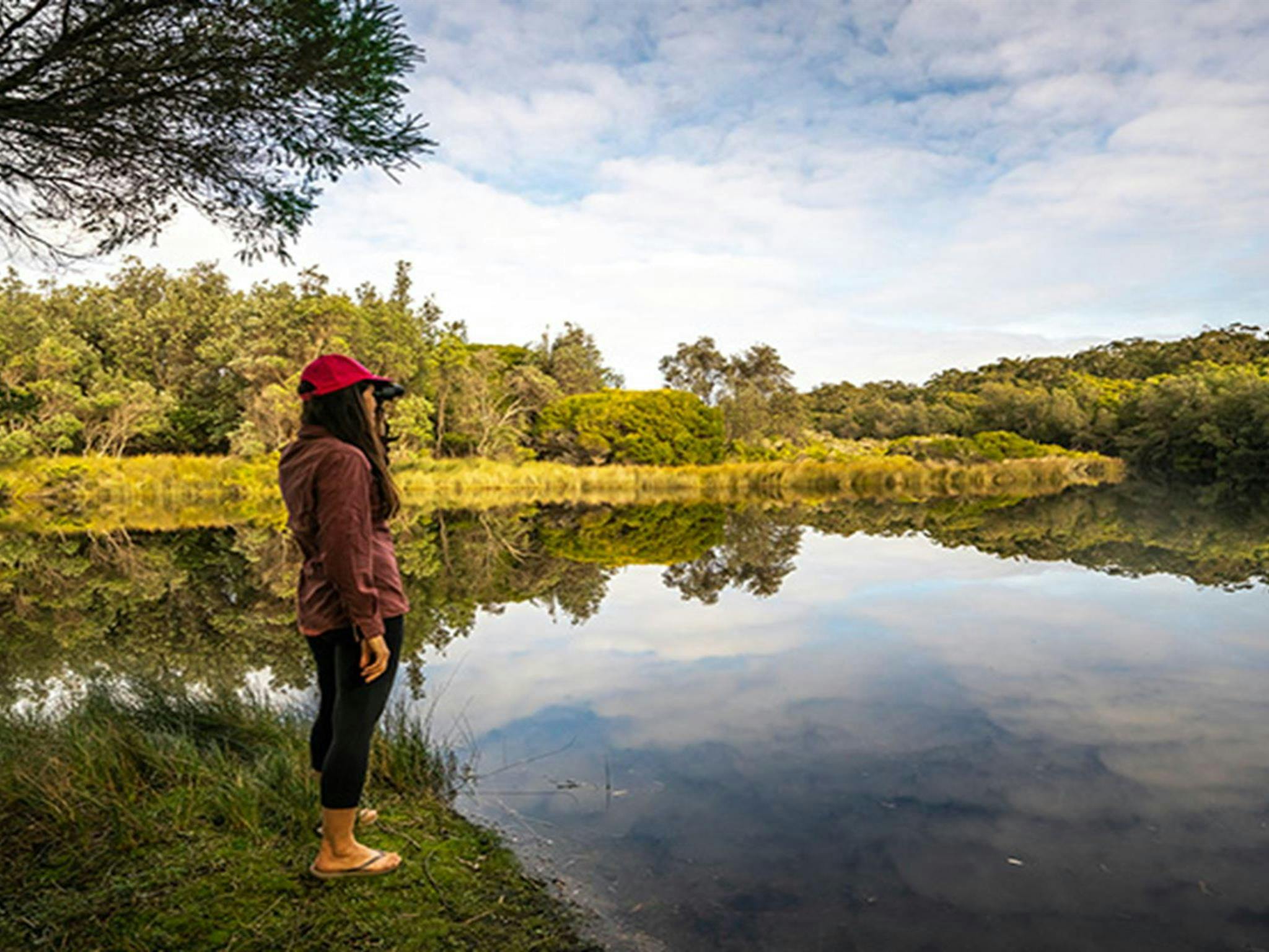 Birdwatcher at Woodburn Creek, Saltwater Creek campground, Beowa National Park. Photo: John
