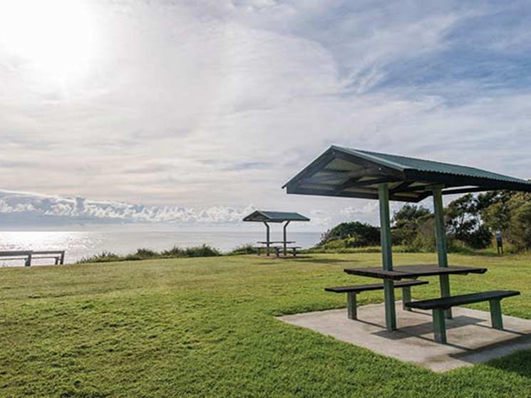 Saltwater picnic area. Photo: John Spencer/OEH