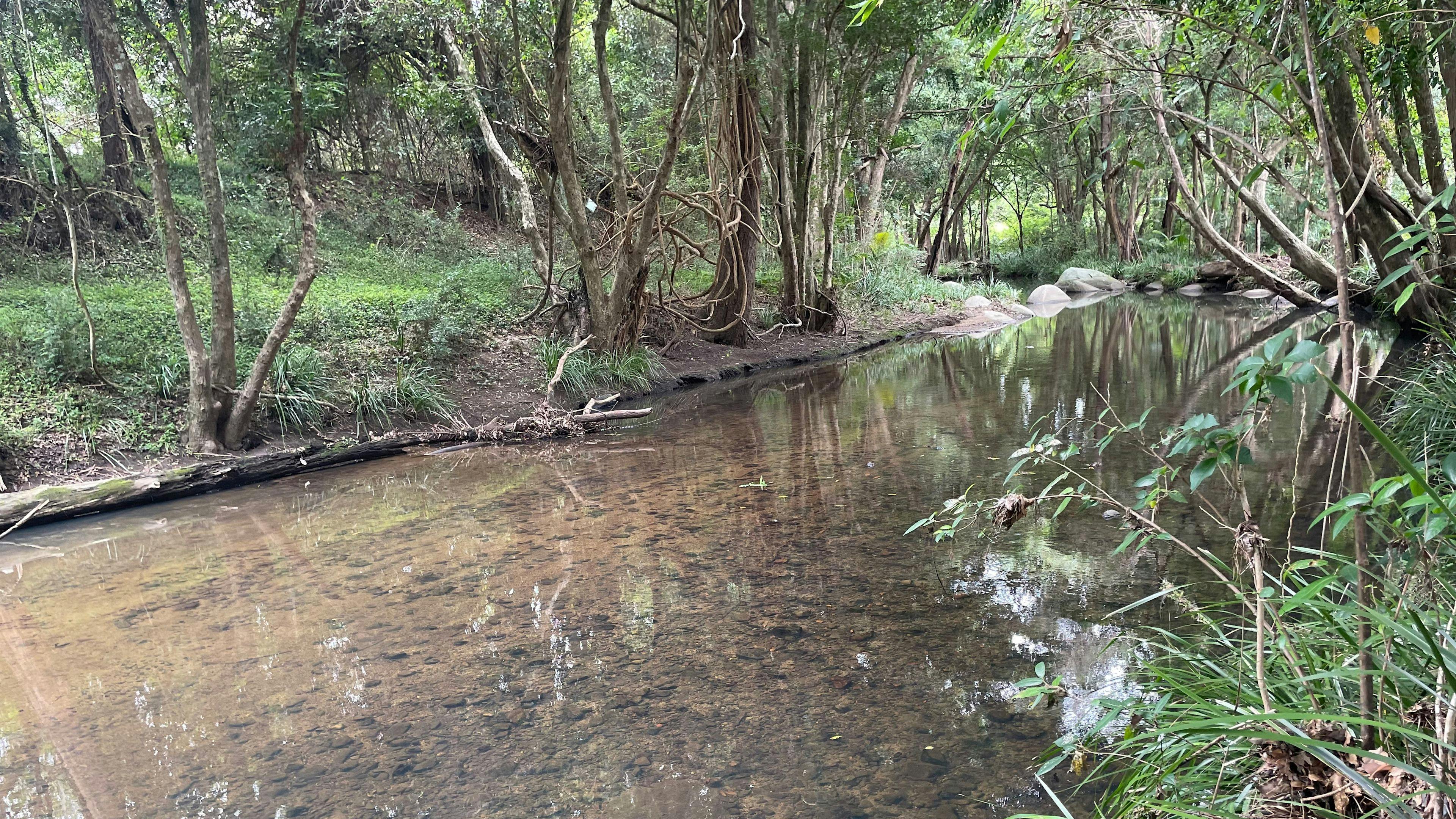 Samford Mini Farm & Creek Camping