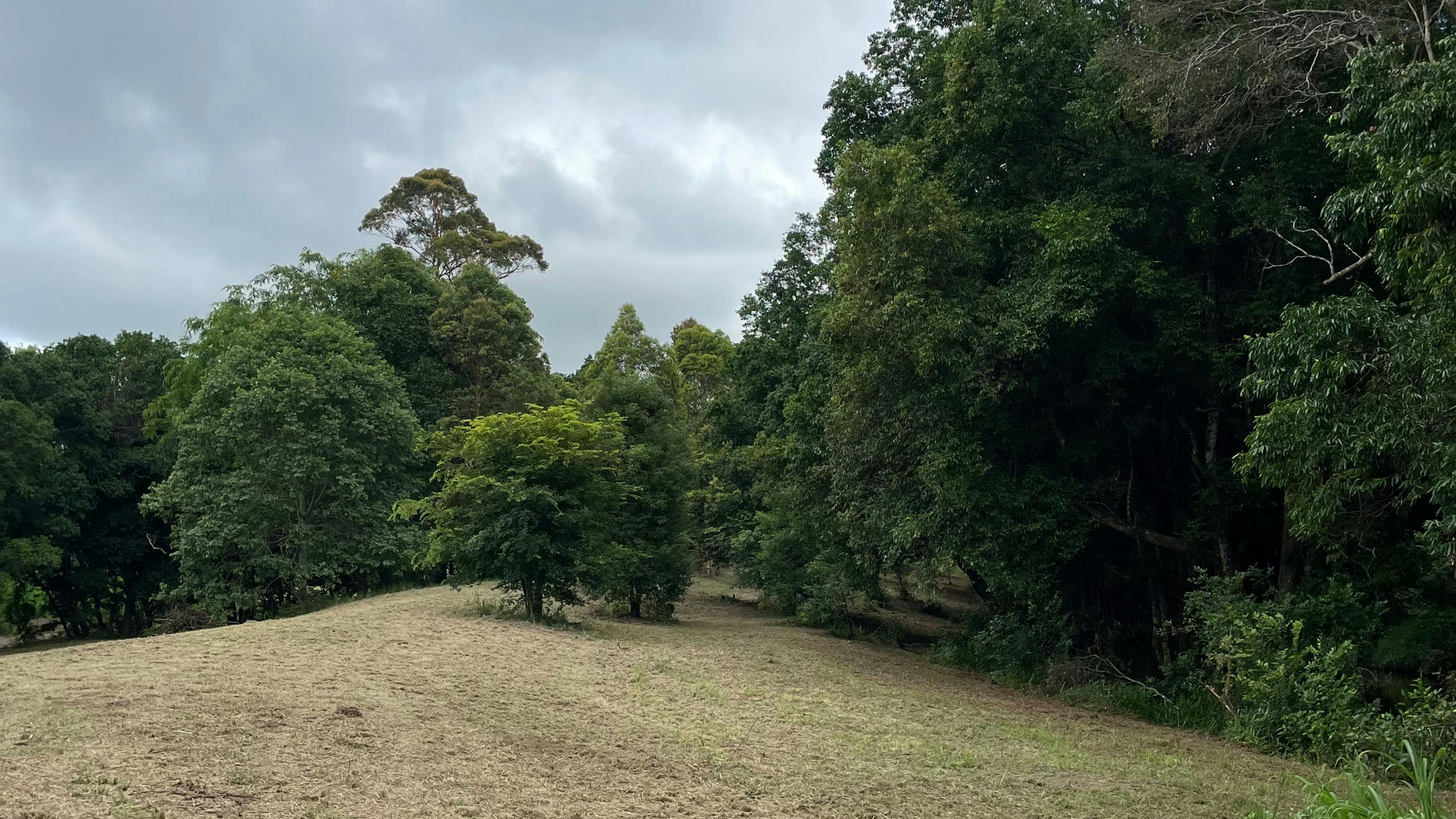 Samford Mini Farm & Creek Camping