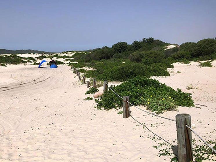 View of sand dunes and dune vegetation alongside a track, with a tent and people in the distance.
