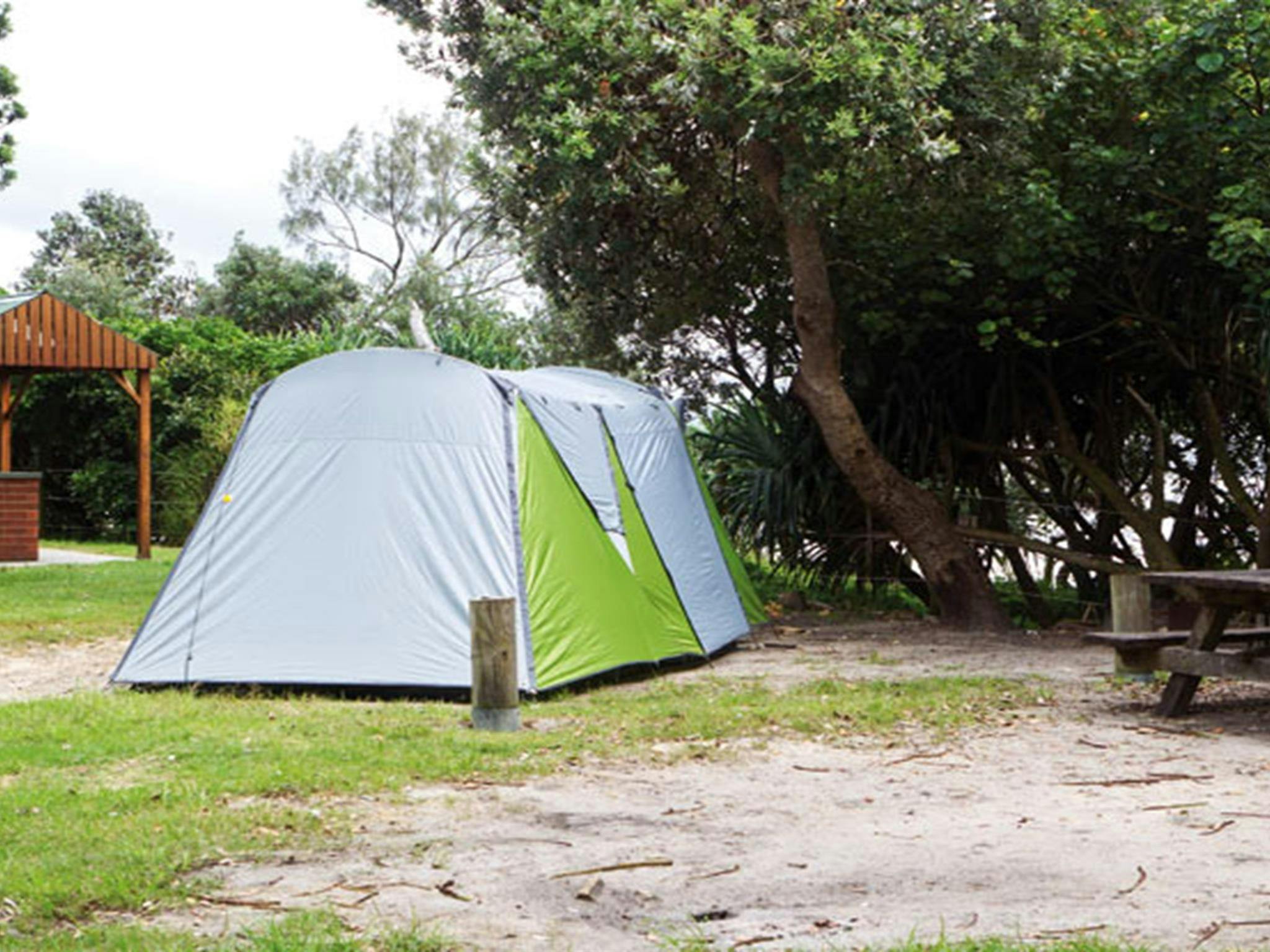 尤拉伊吉爾國家公園桑頓河露營地的帳篷。圖片來源：Rob Cleary © DPIE