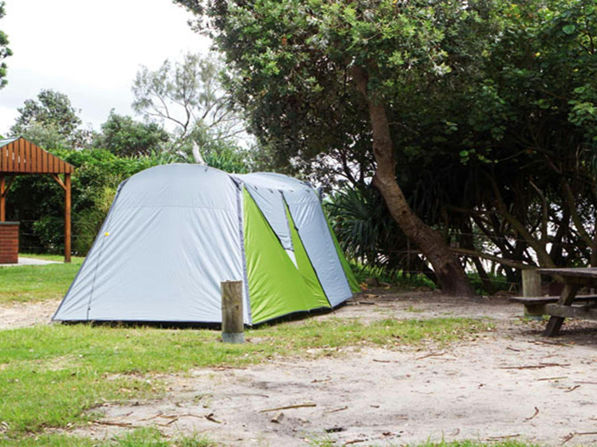 Tents at Sandon River campground, Yuraygir National Park. Photo credit: Rob Cleary &copy; DPIE
