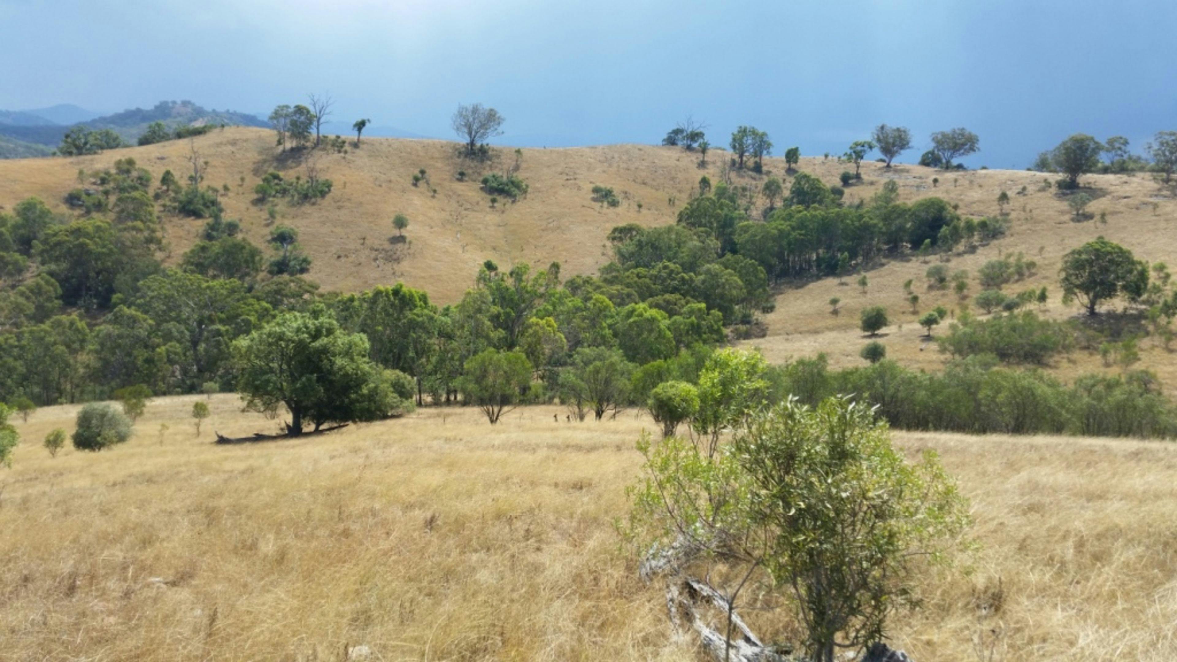 Sandy Creek Camp NSW Holidays & Things to Do