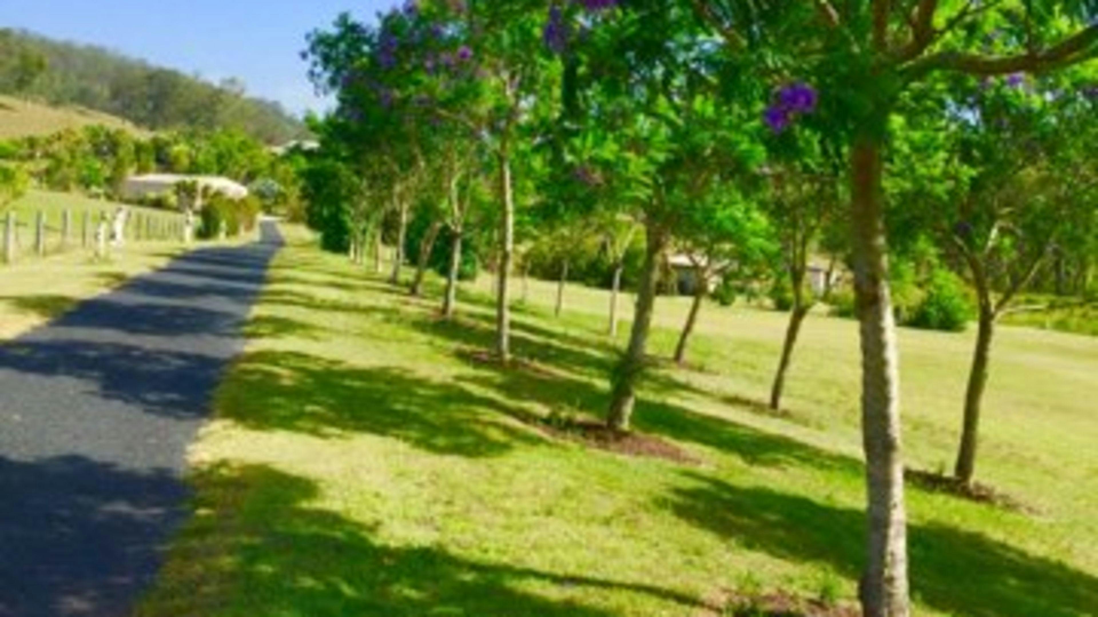 Sandy Creek Kilcoy Park Garden