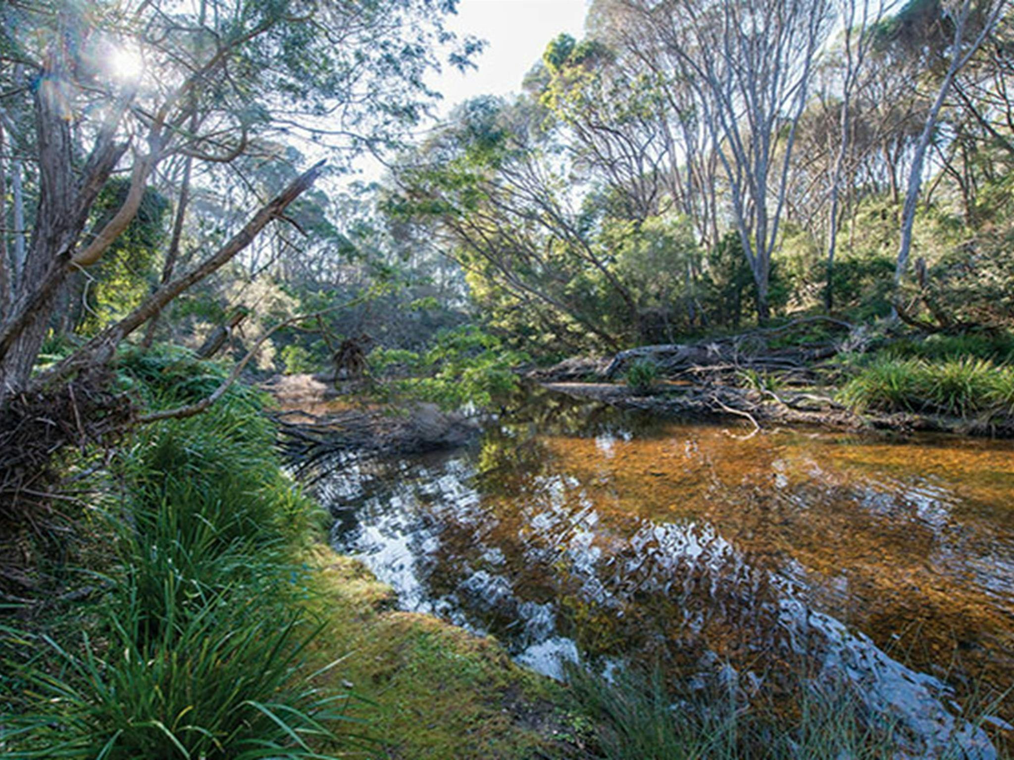 Bournda National Park