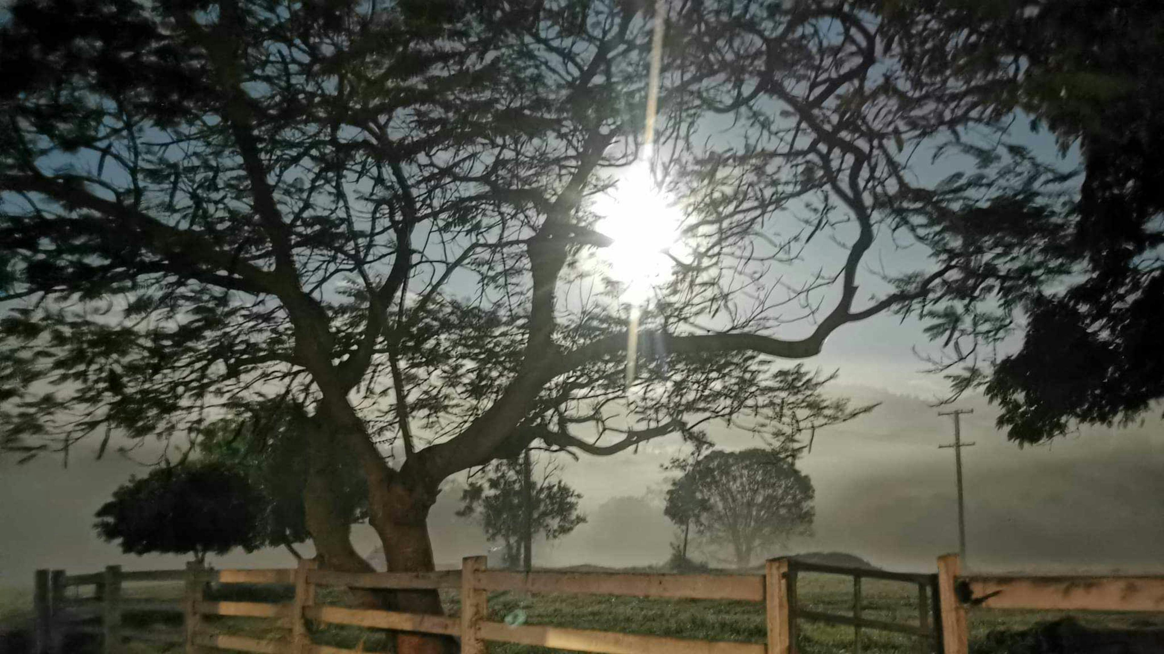 Sandycreek Homestead