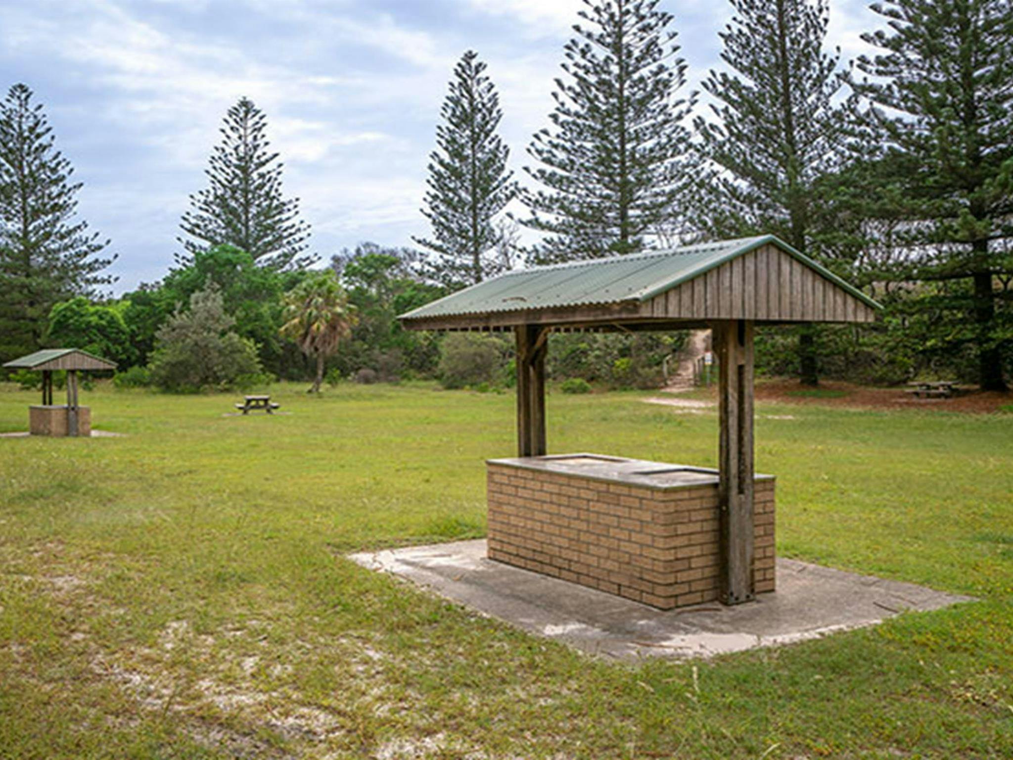 Grassy flat surrounded by tall Norfolk pines with barbecue facilities and a picnic table. Photo
