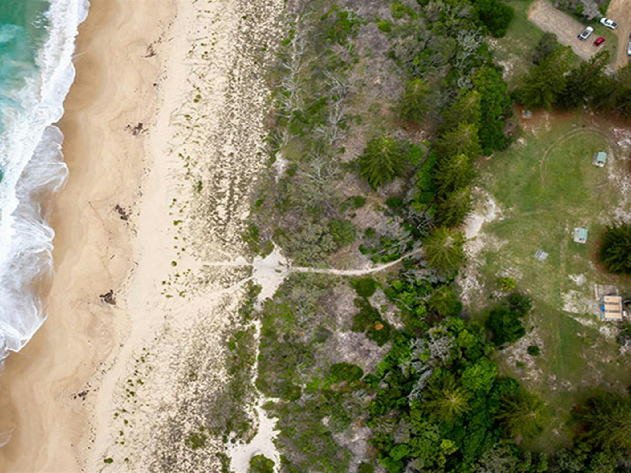 Aerial view of Santa Barbara picnic area and the shoreline of Seven Mile Beach. Photo credit: John