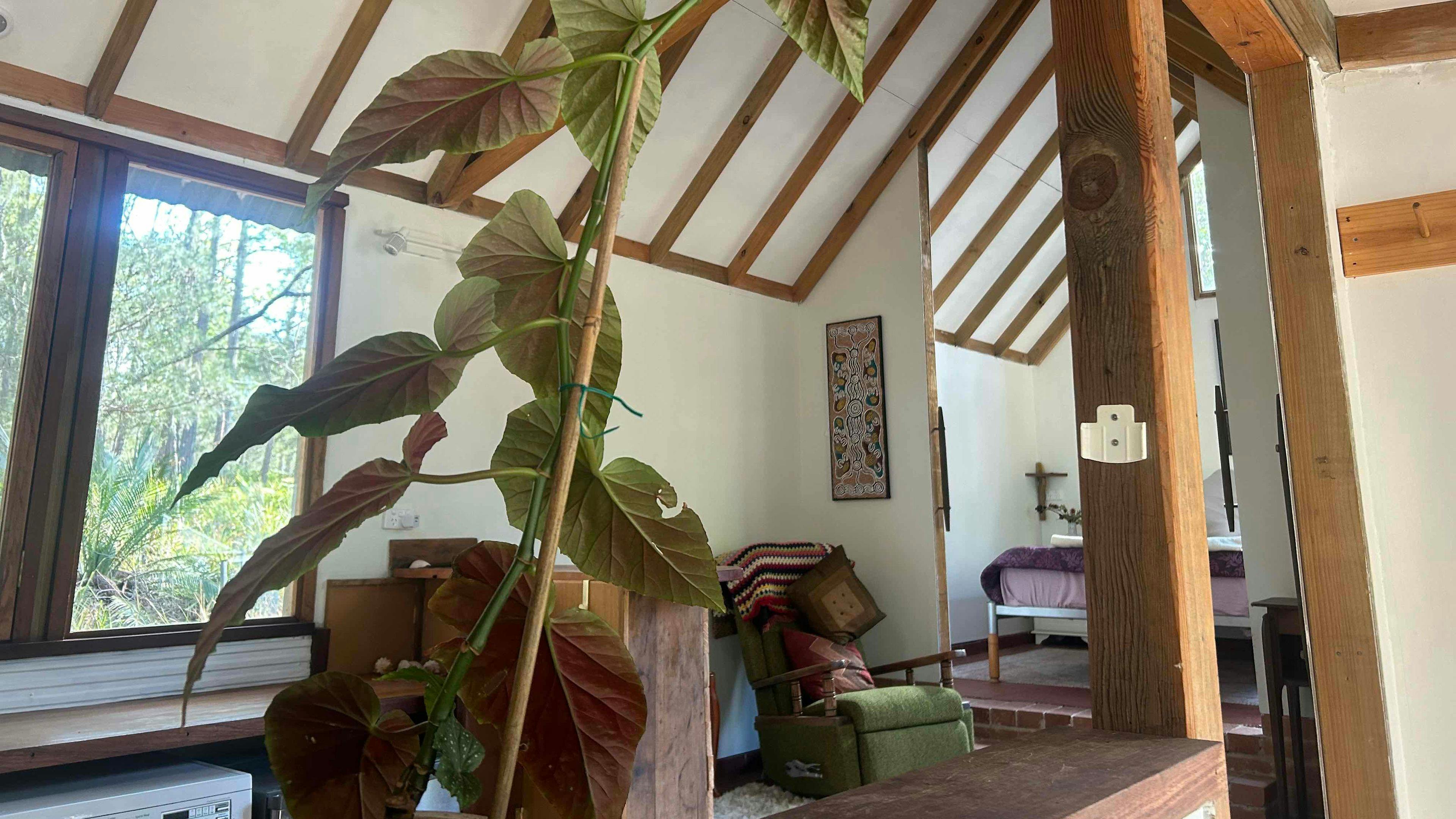 사파이어 코스트 포레스트 리트리트