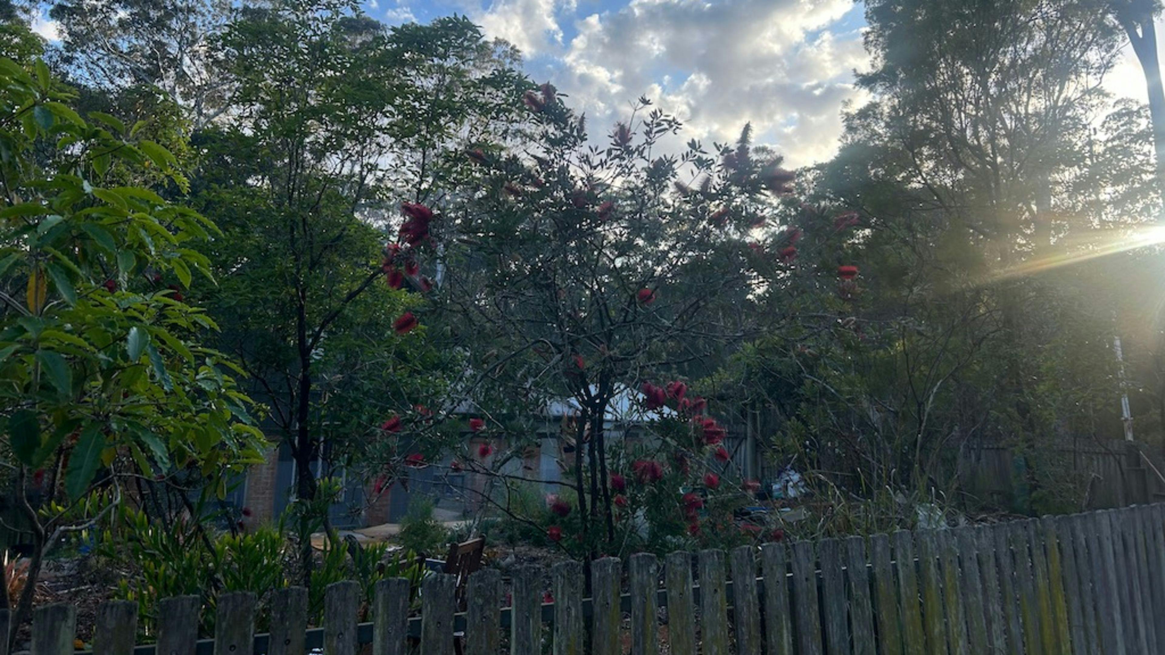 사파이어 코스트 포레스트 리트리트