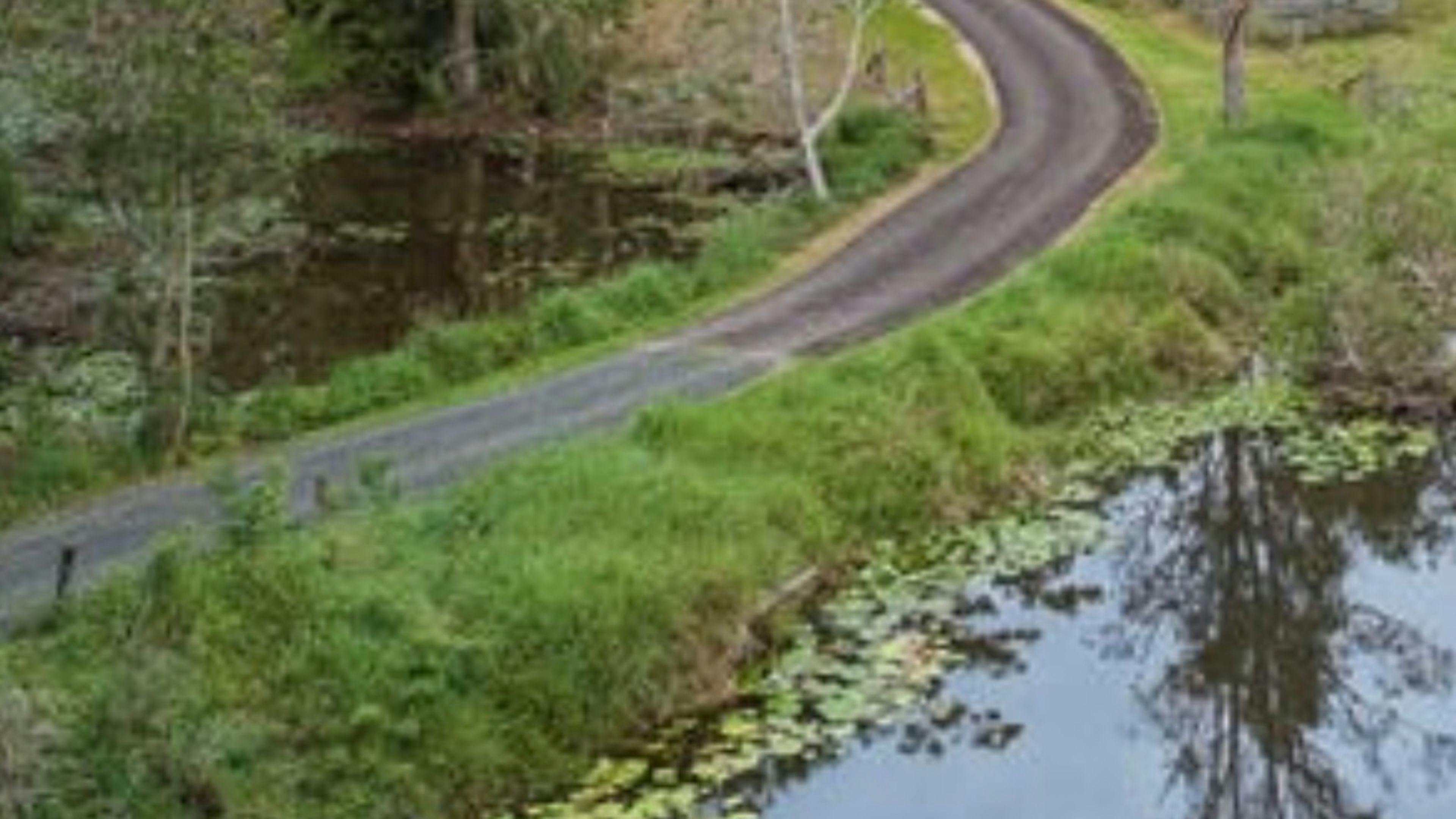 Sarah’s Farm🕊️ 4wd only