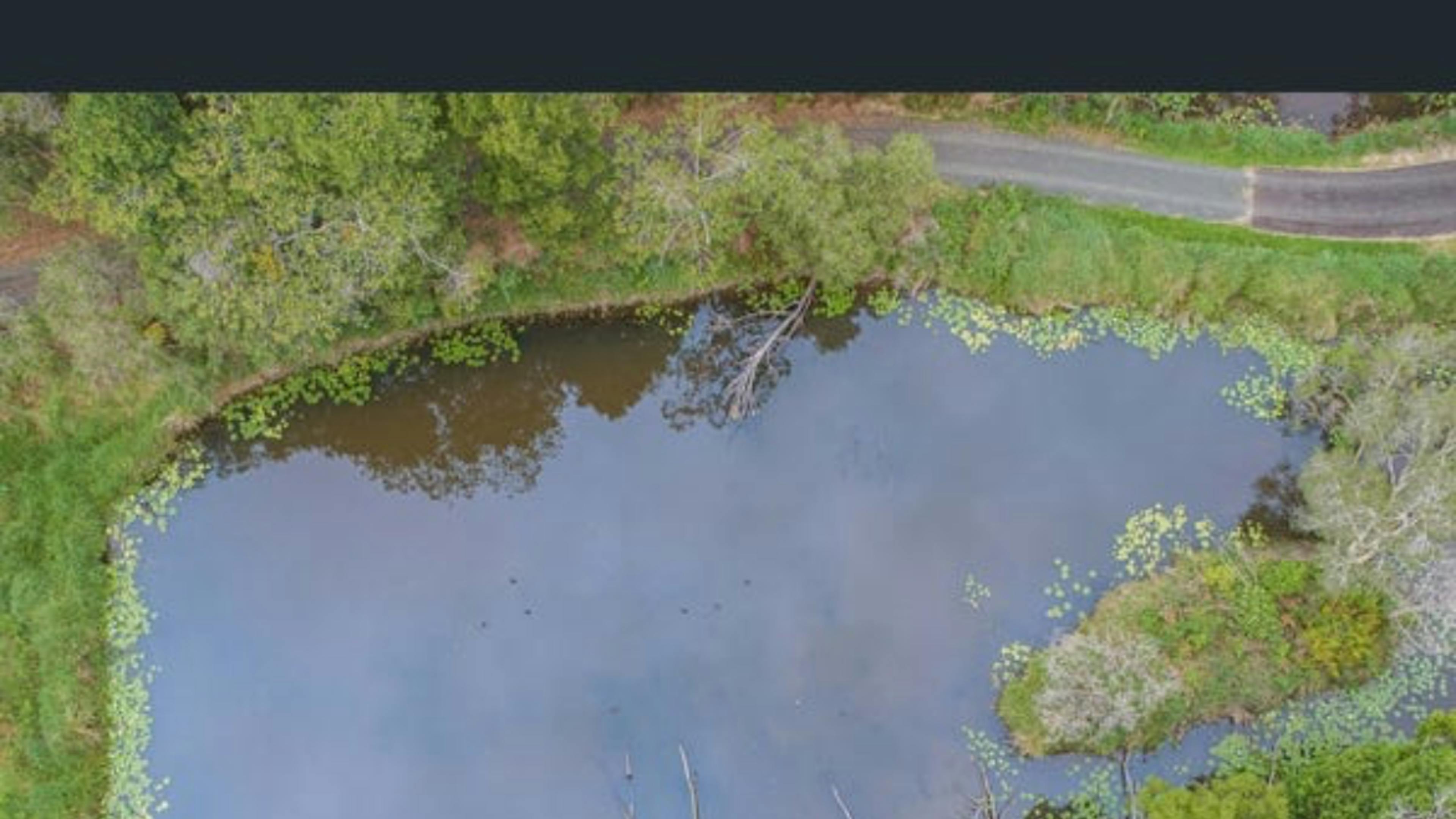 Sarah’s Farm🕊️ 4wd only