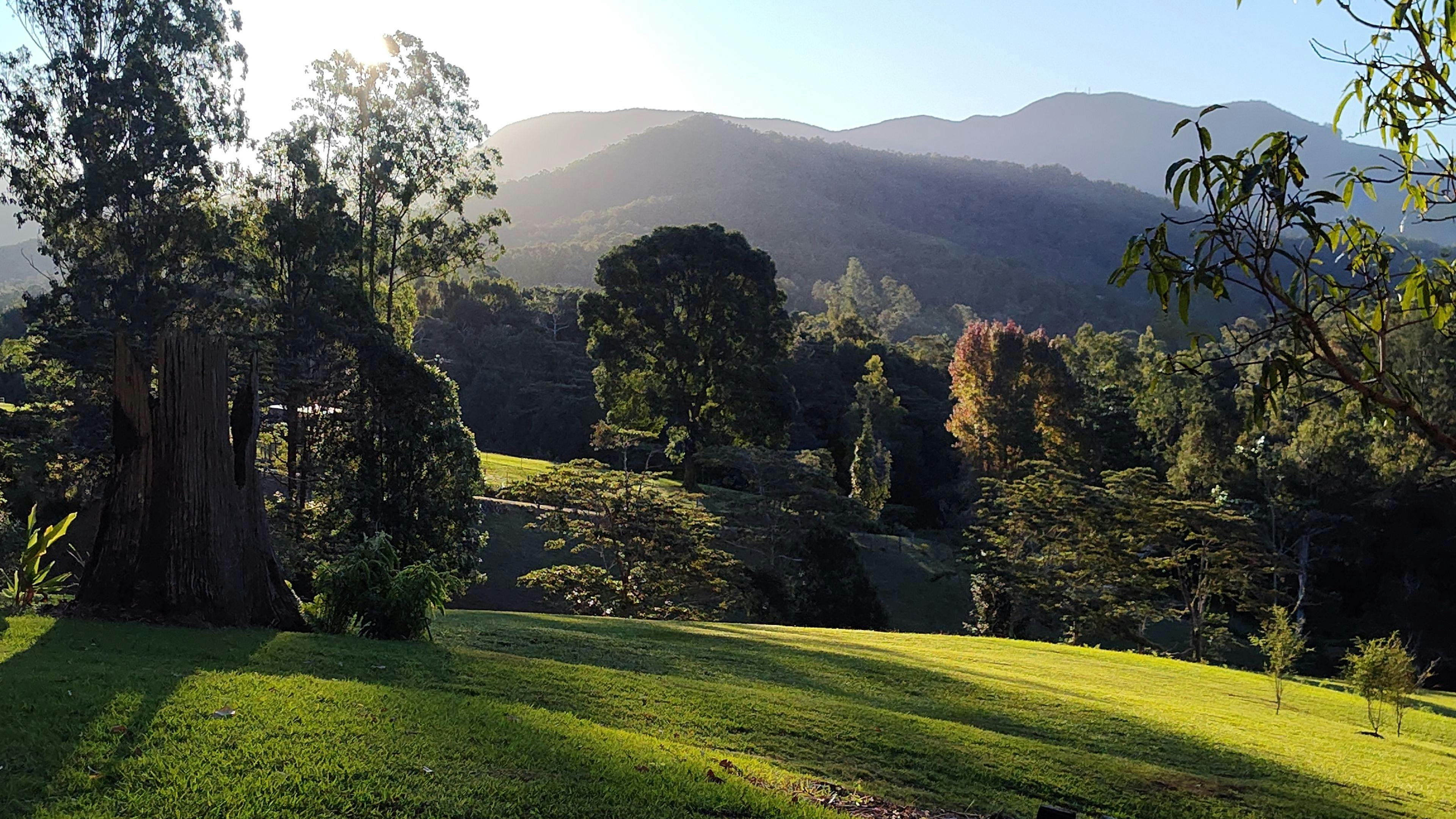 View from Mango site