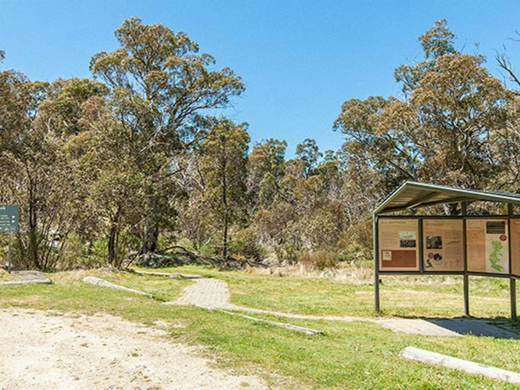 Picknickplatz Sawpit Creek, Kosciuszko-Nationalpark. Foto: Murray Vanderveer © OEH