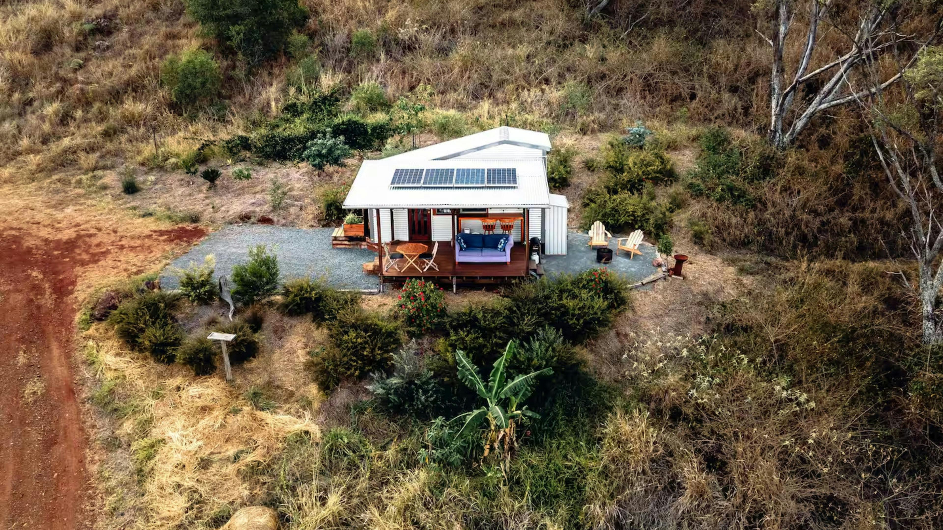 The Avocado Tree Farm