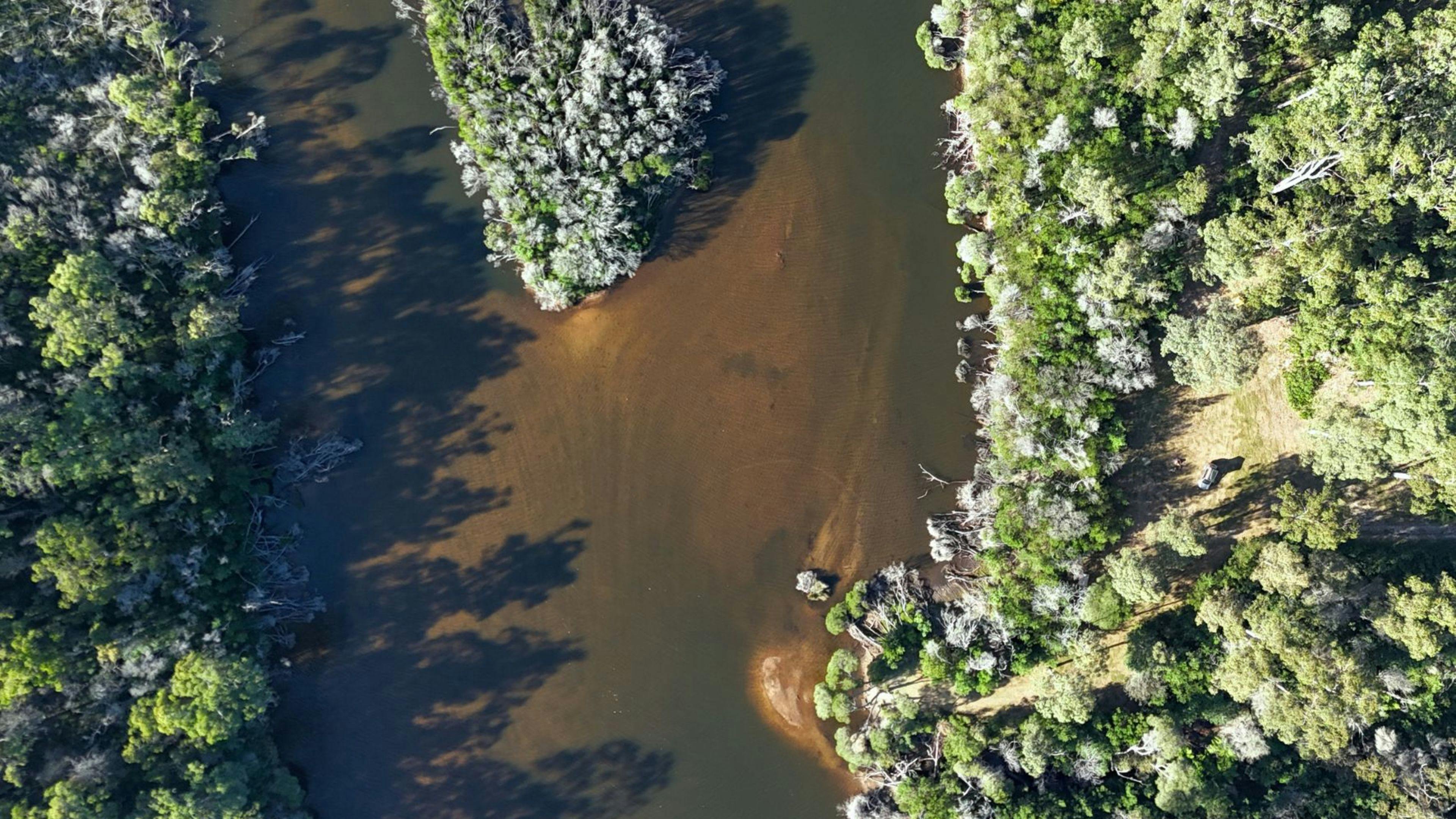 クライディーズ・ノブ