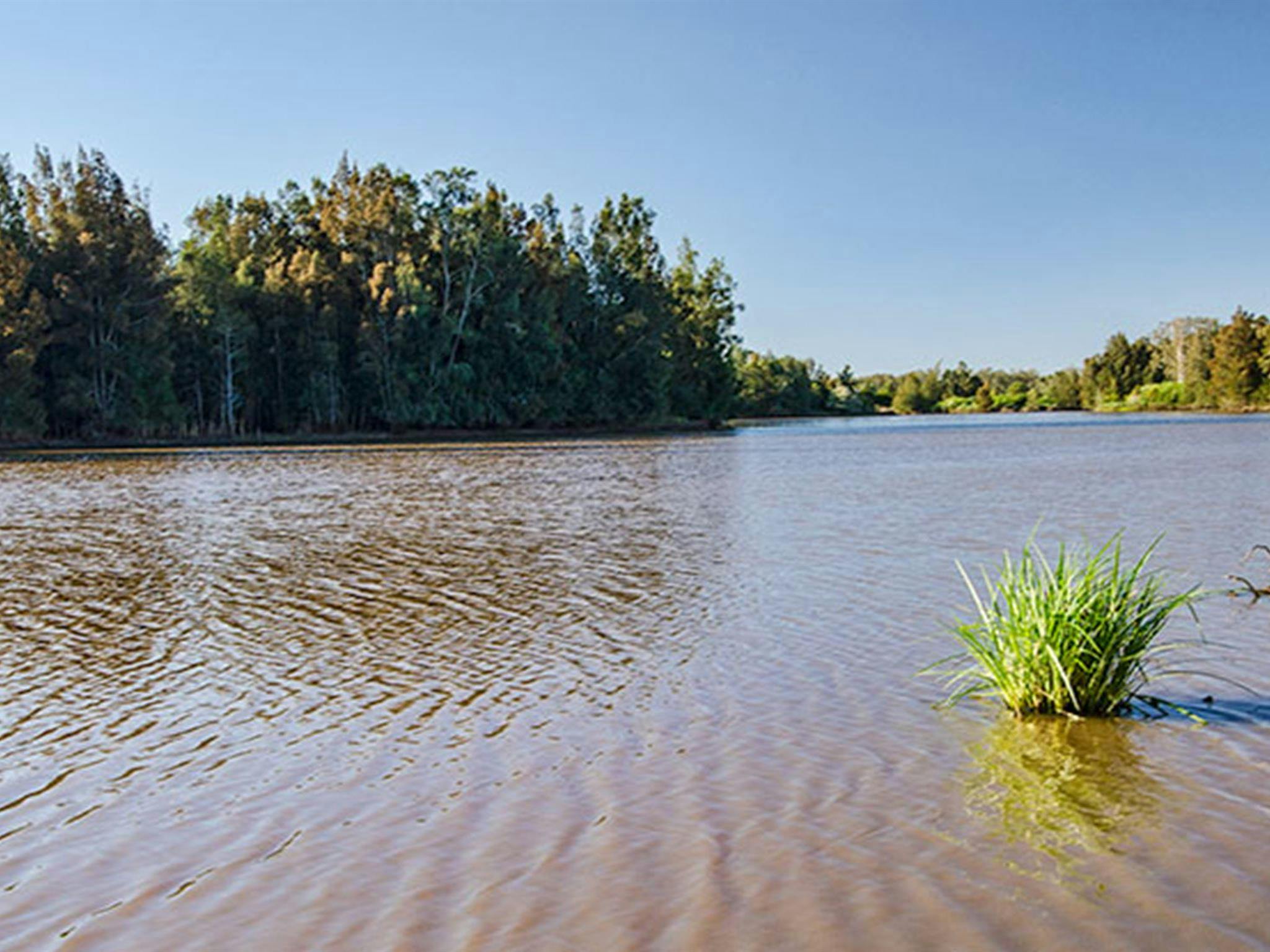 Longneck Lagoon walking track. Photo: John Spencer &copy; DPIE
