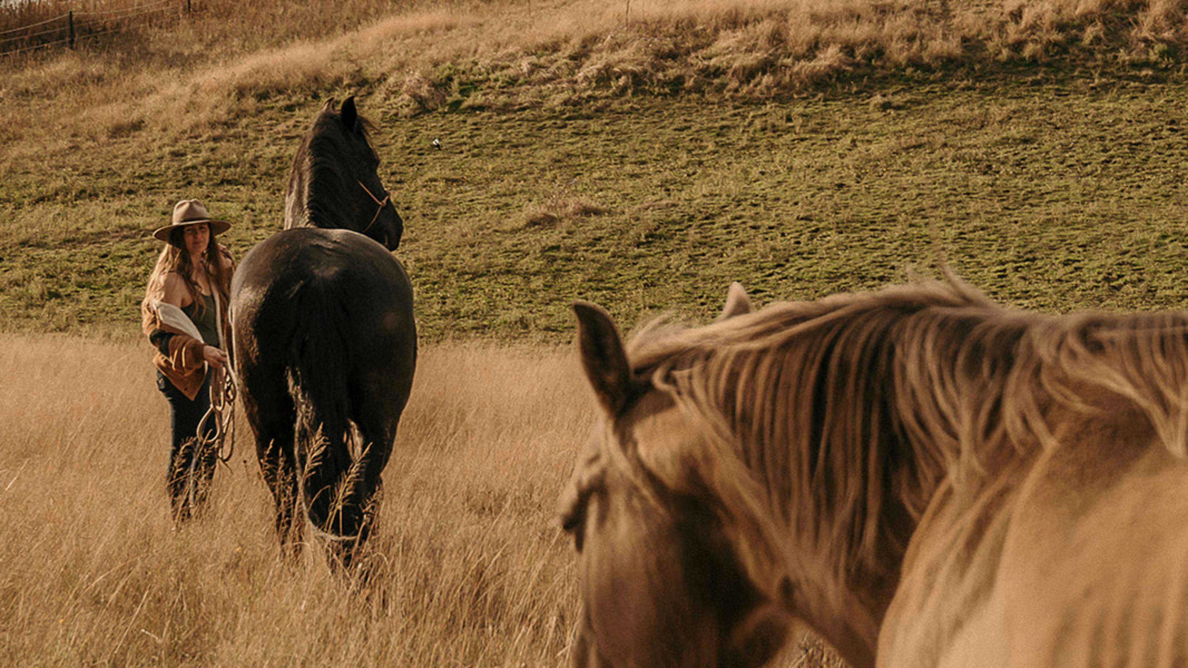 스카우트 런 프라이빗 크릭사이드 캠프