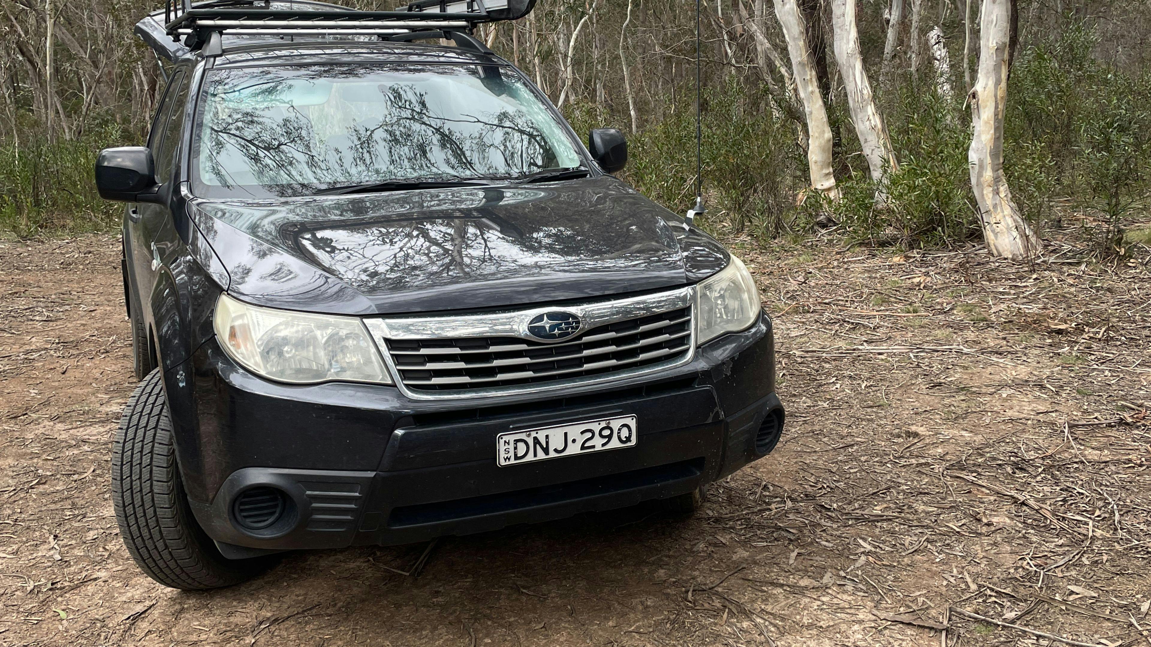 Scribbly Gum secluded bush camping