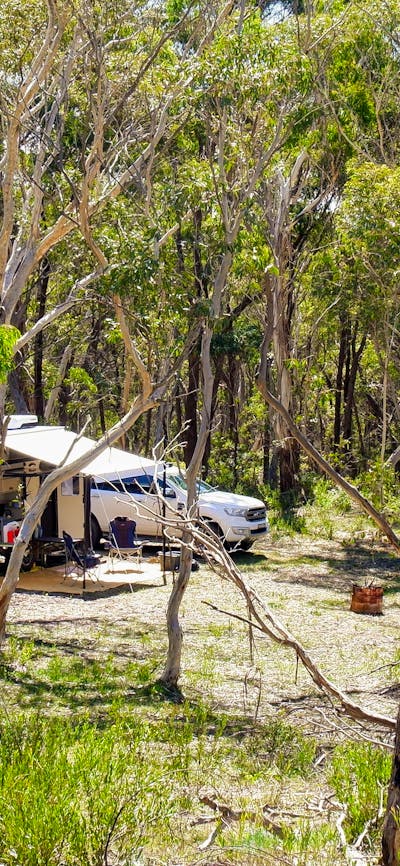 Scribbly Gum secluded bush camping