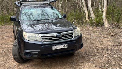Scribbly Gum secluded bush camping