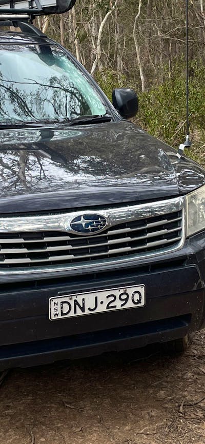 Scribbly Gum secluded bush camping