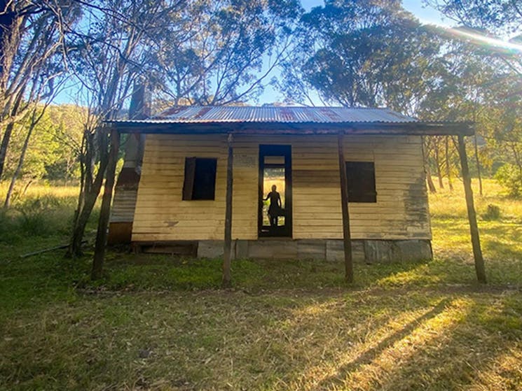 Silhouette of a person in the doorway of Scutts Hut, set in a grassy clearing in open woodland of