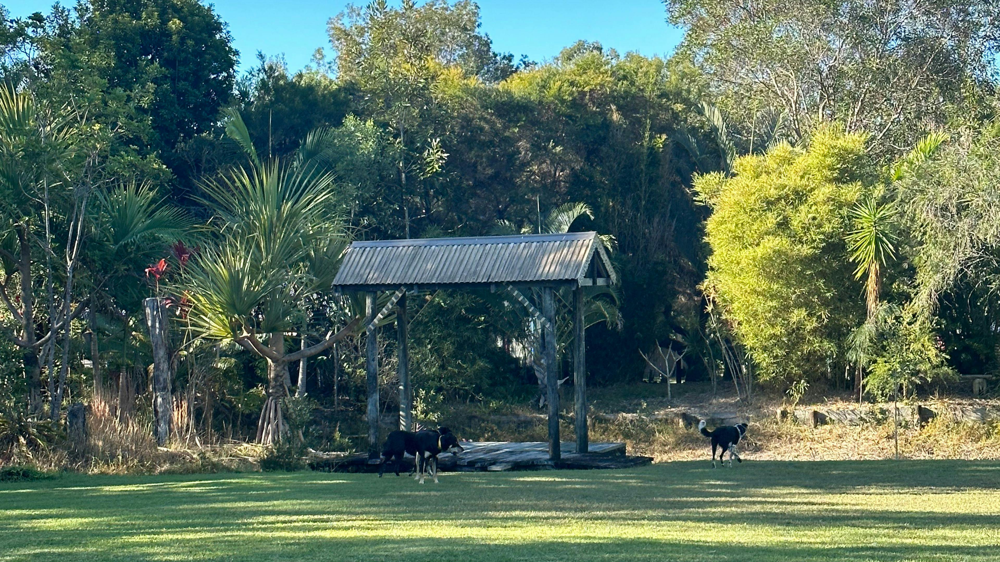 Semi-Rural Tropical Dog Oasis