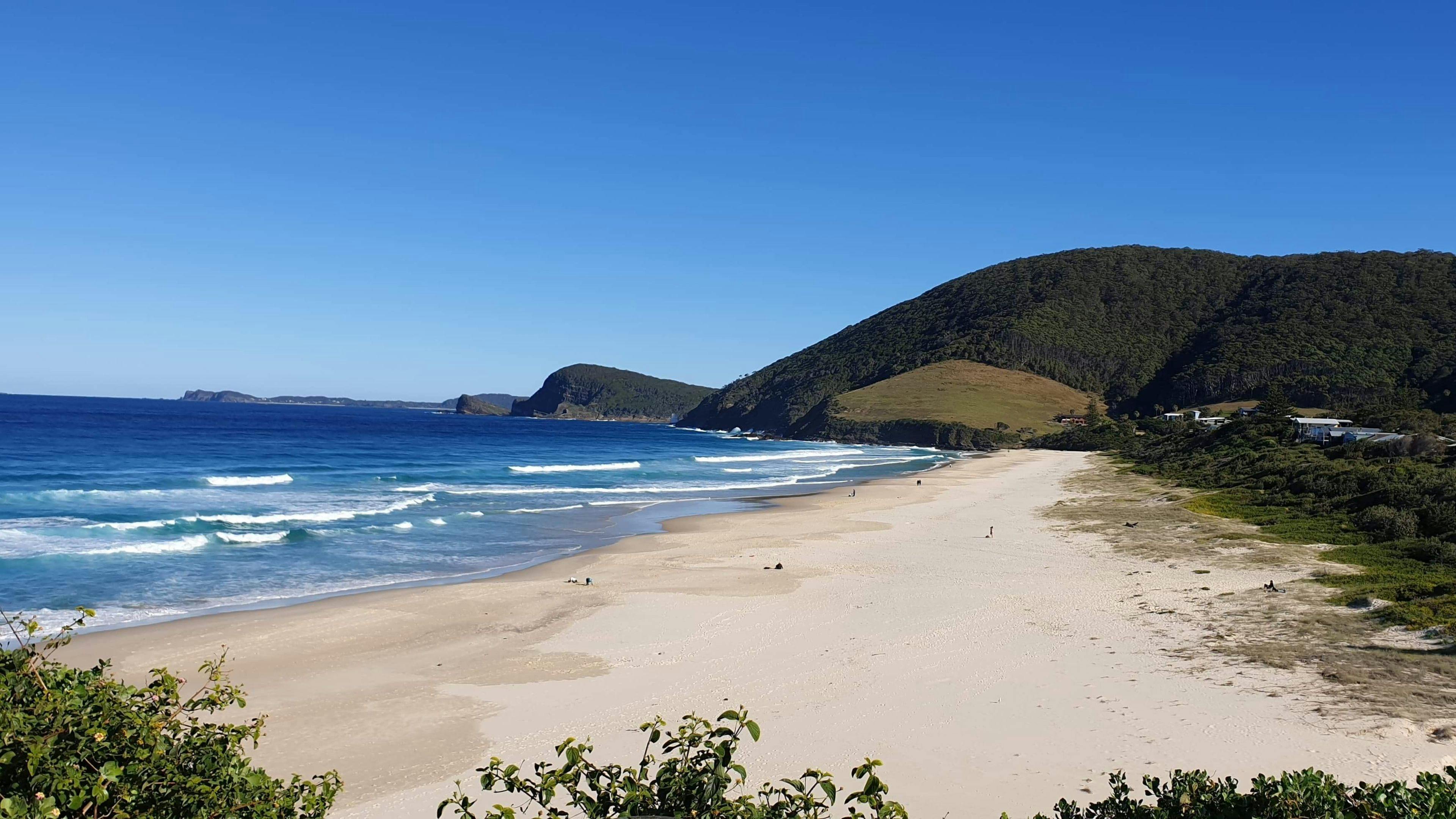 씨포레스트 보호구역