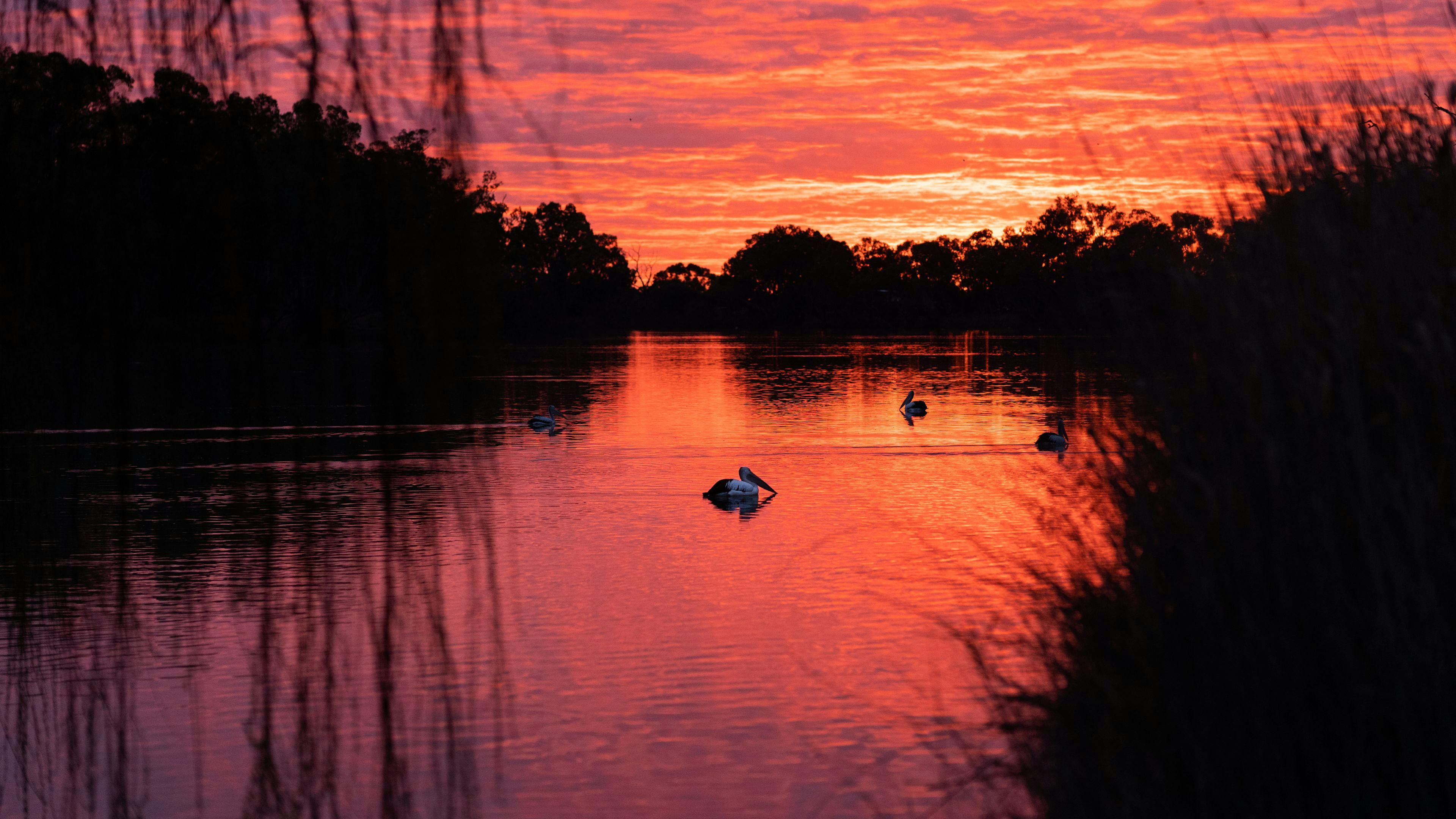 Secluded exclusive river campsite