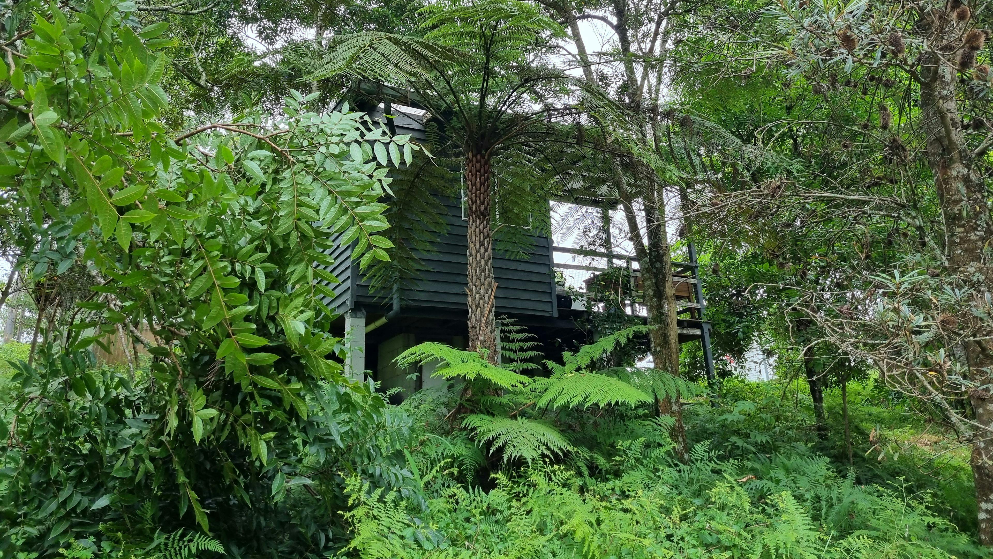 Book the artists studio in addition to your camping spot to take advantage of a designated creative space. Great for your own "artist in residence" program.

(See profile for Artists Studio option)