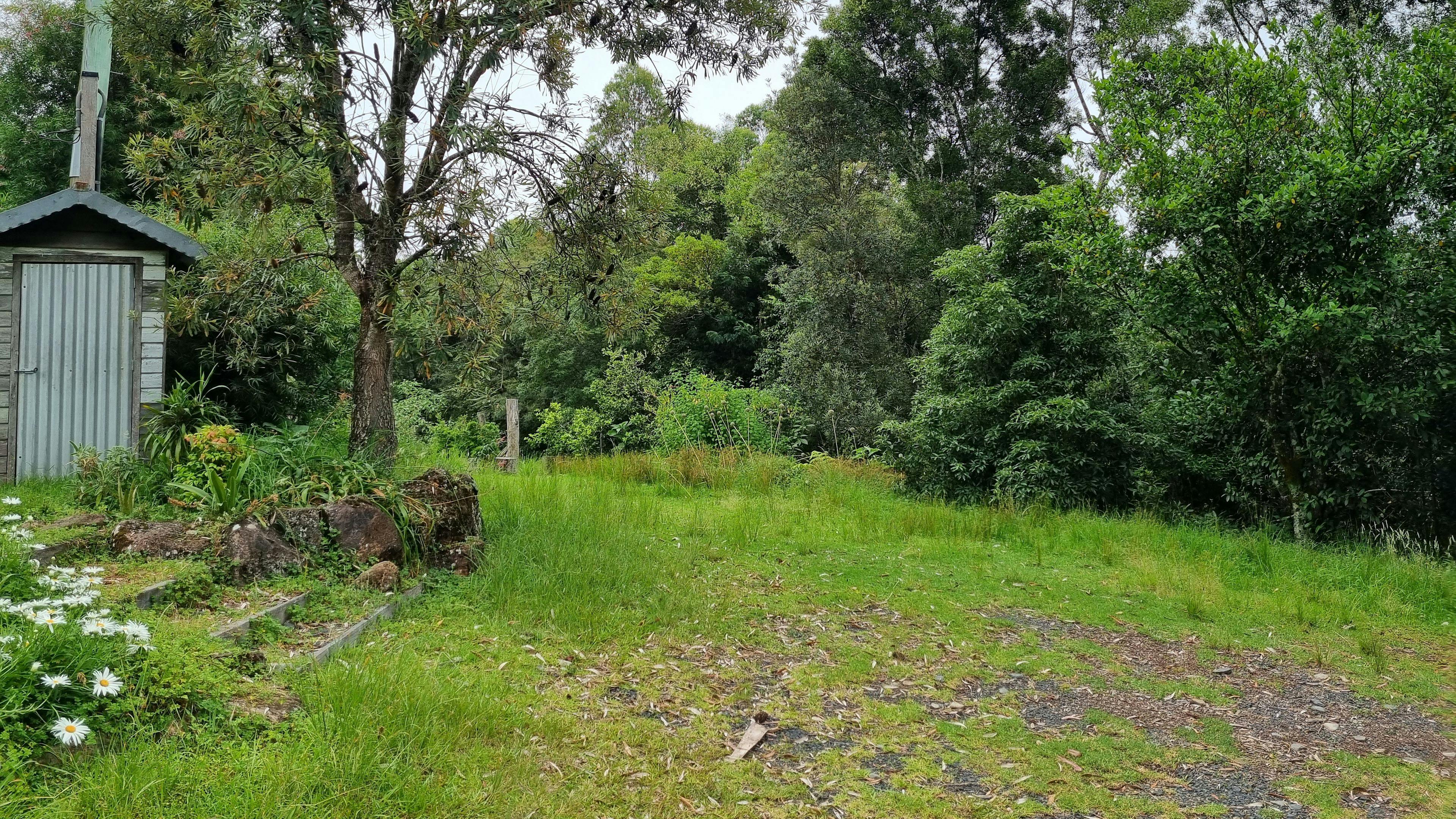 僻靜的山間露營
