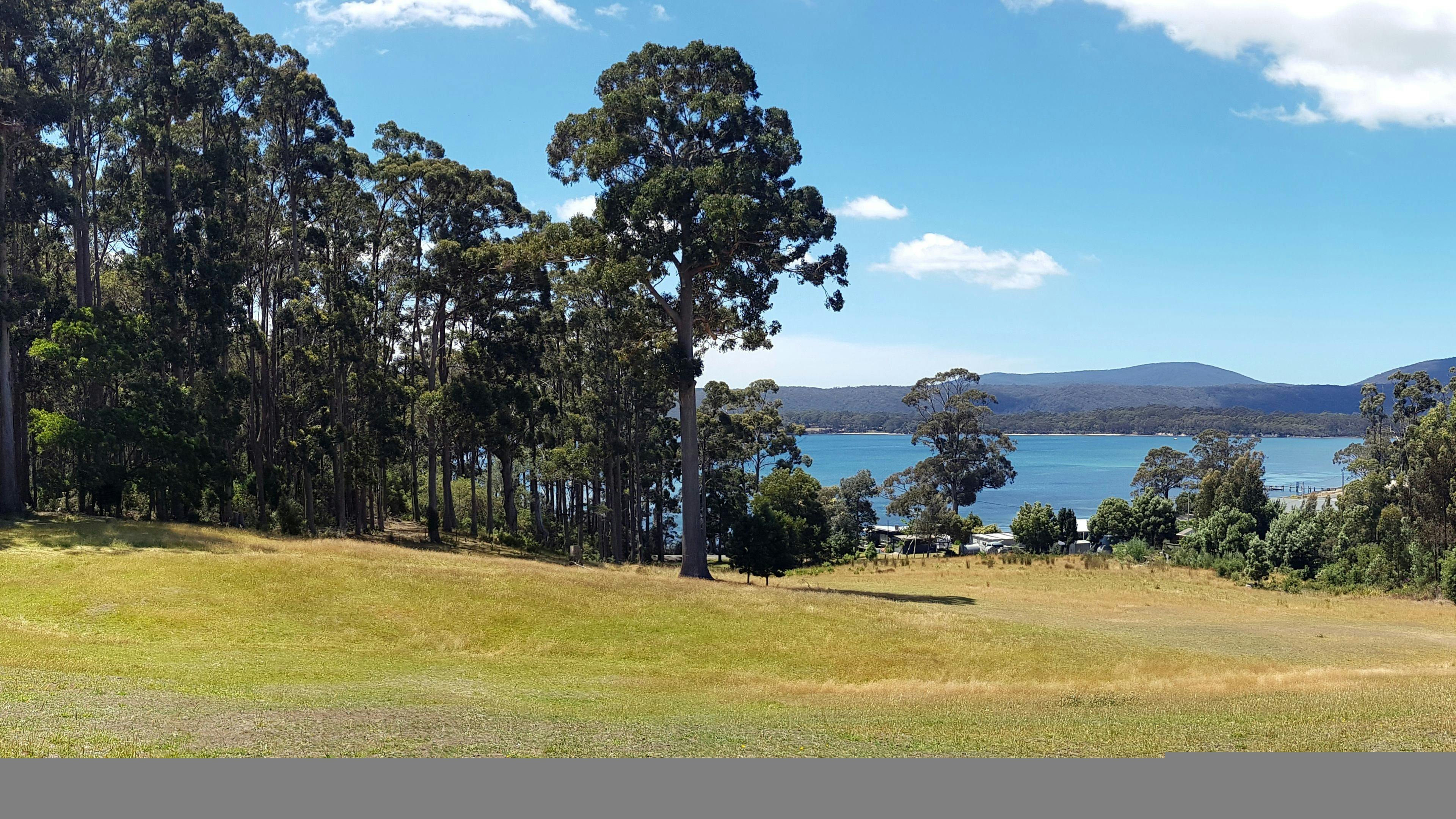The view of Possum Bay from Semaphore Farm's main camping area. 