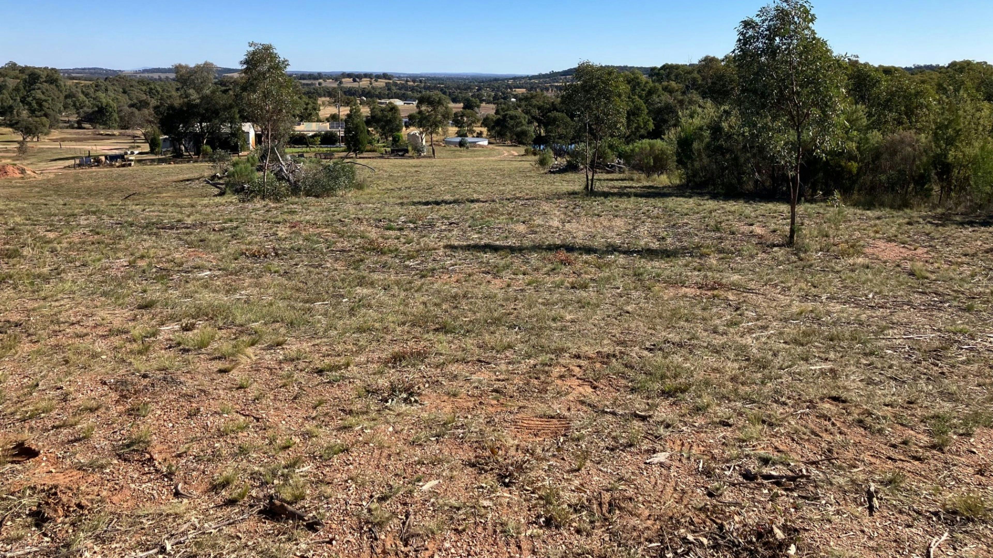 Serendipity - a fortunate discovery