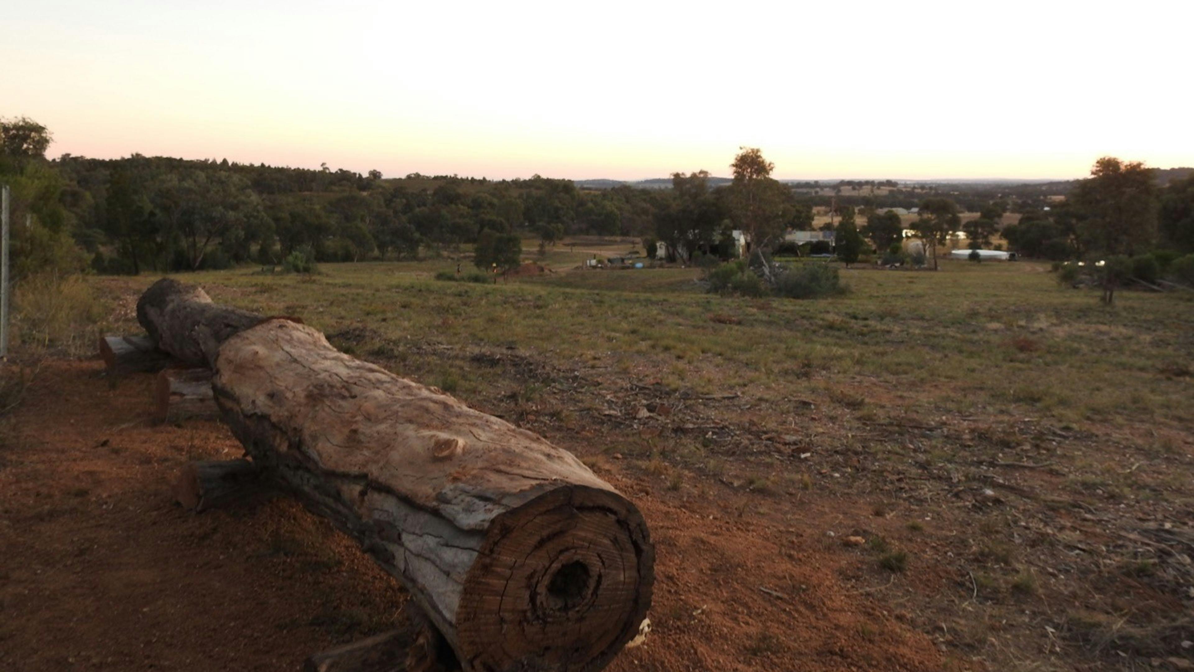 Serendipity - a fortunate discovery