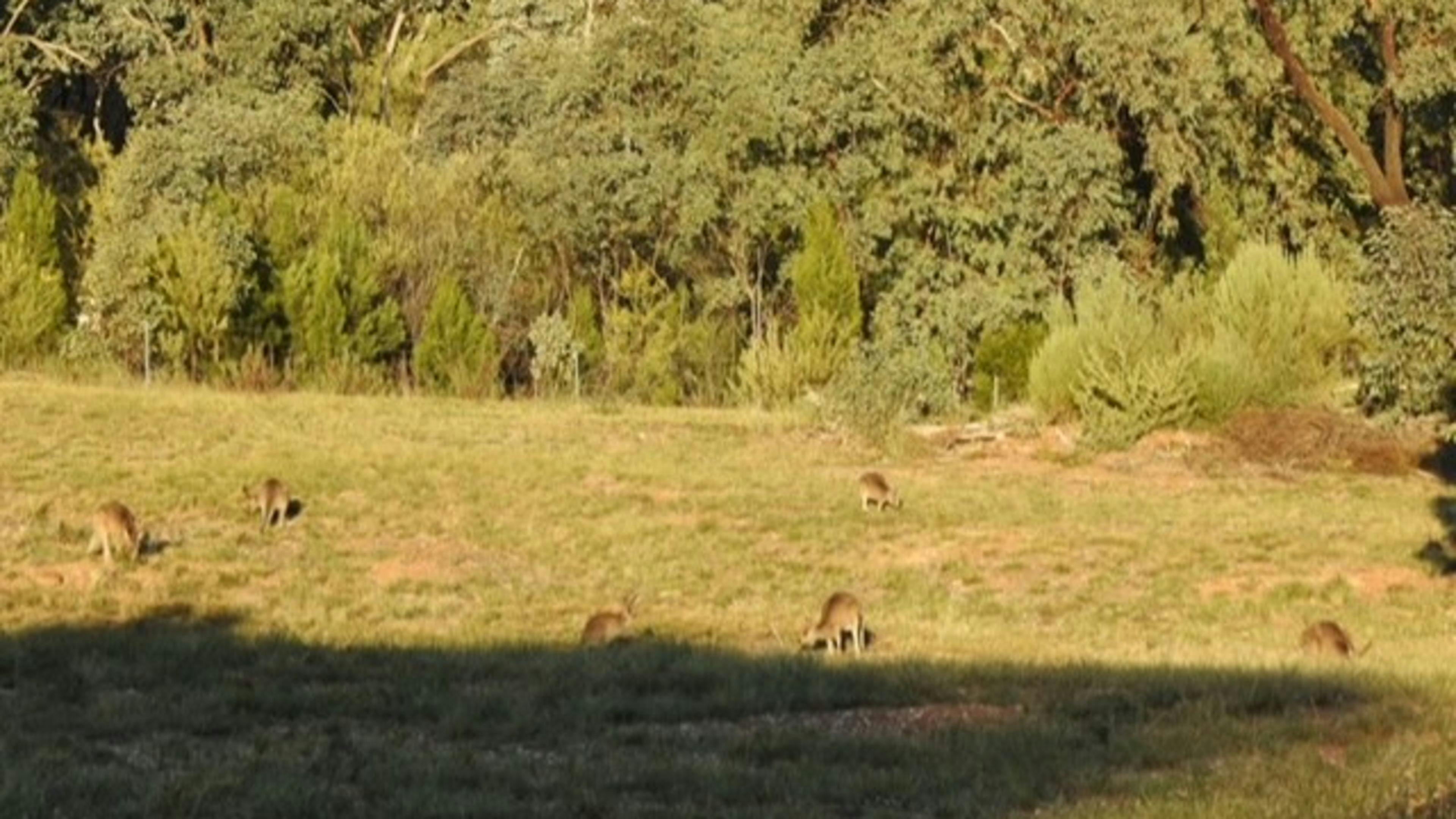 Serendipity - a fortunate discovery