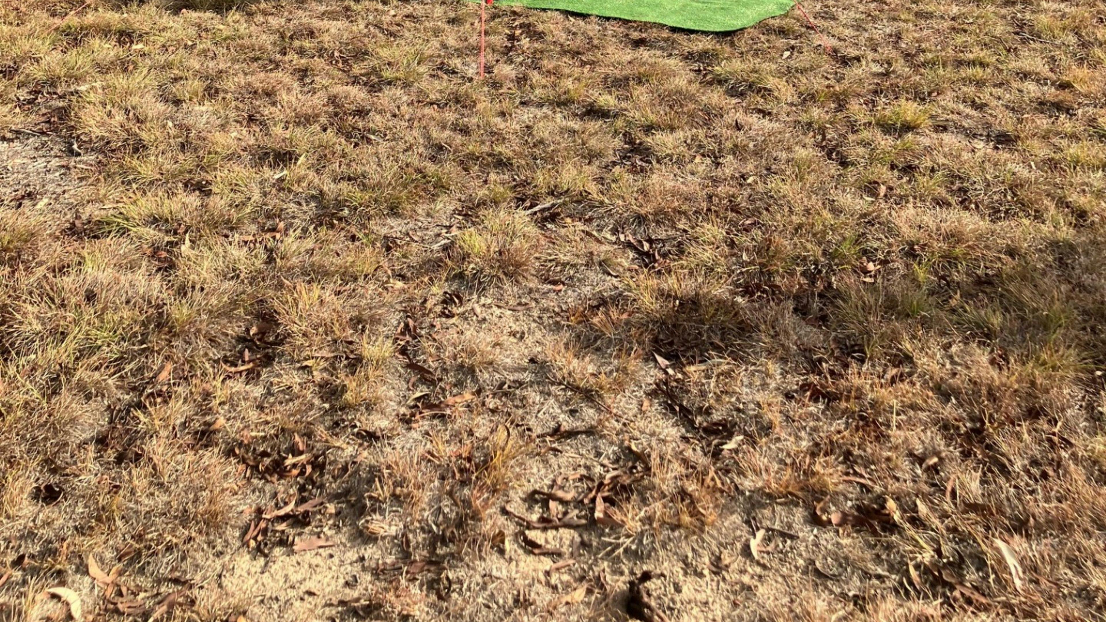 Serendipity Campground