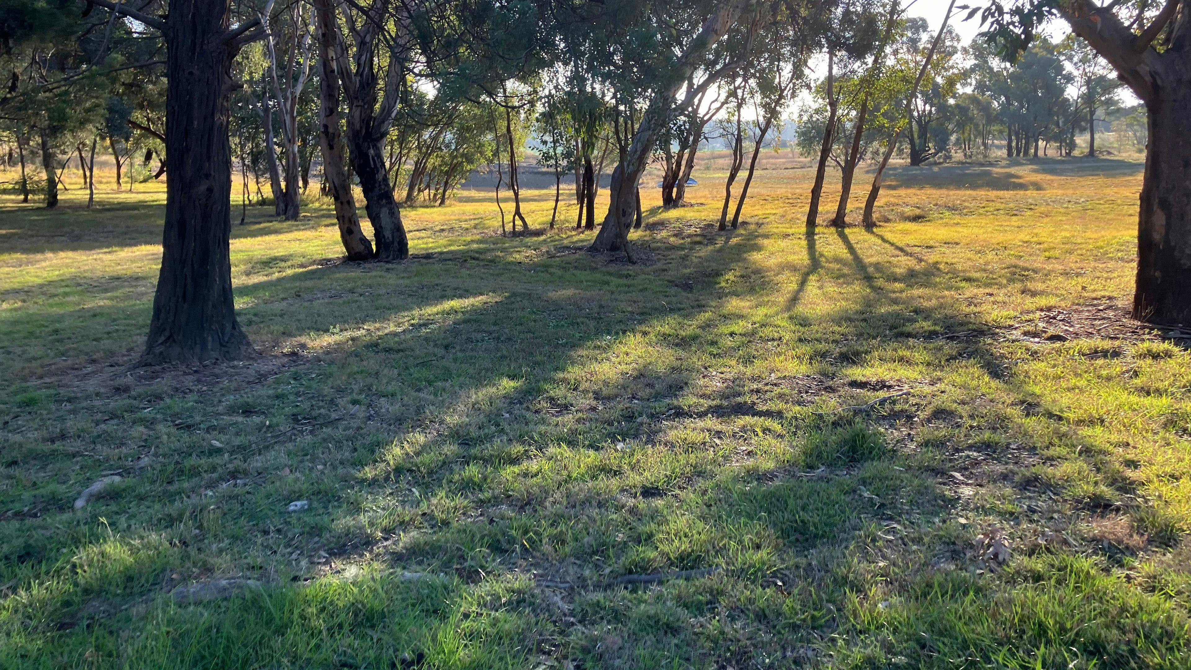 Serendipity Campground