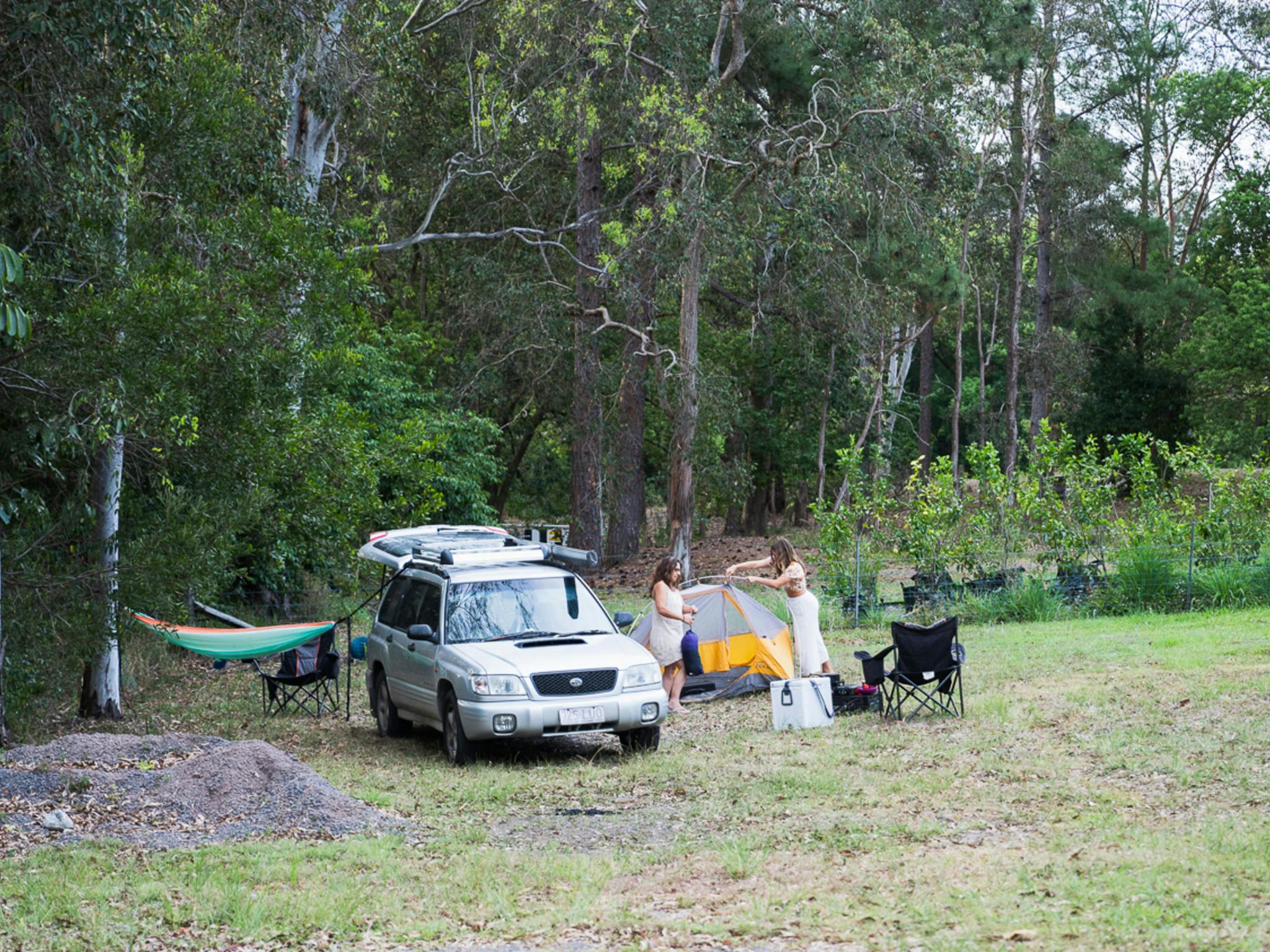 Serenity Camp in Ninderry - The Fold: Your Guide to Everything Regional ...